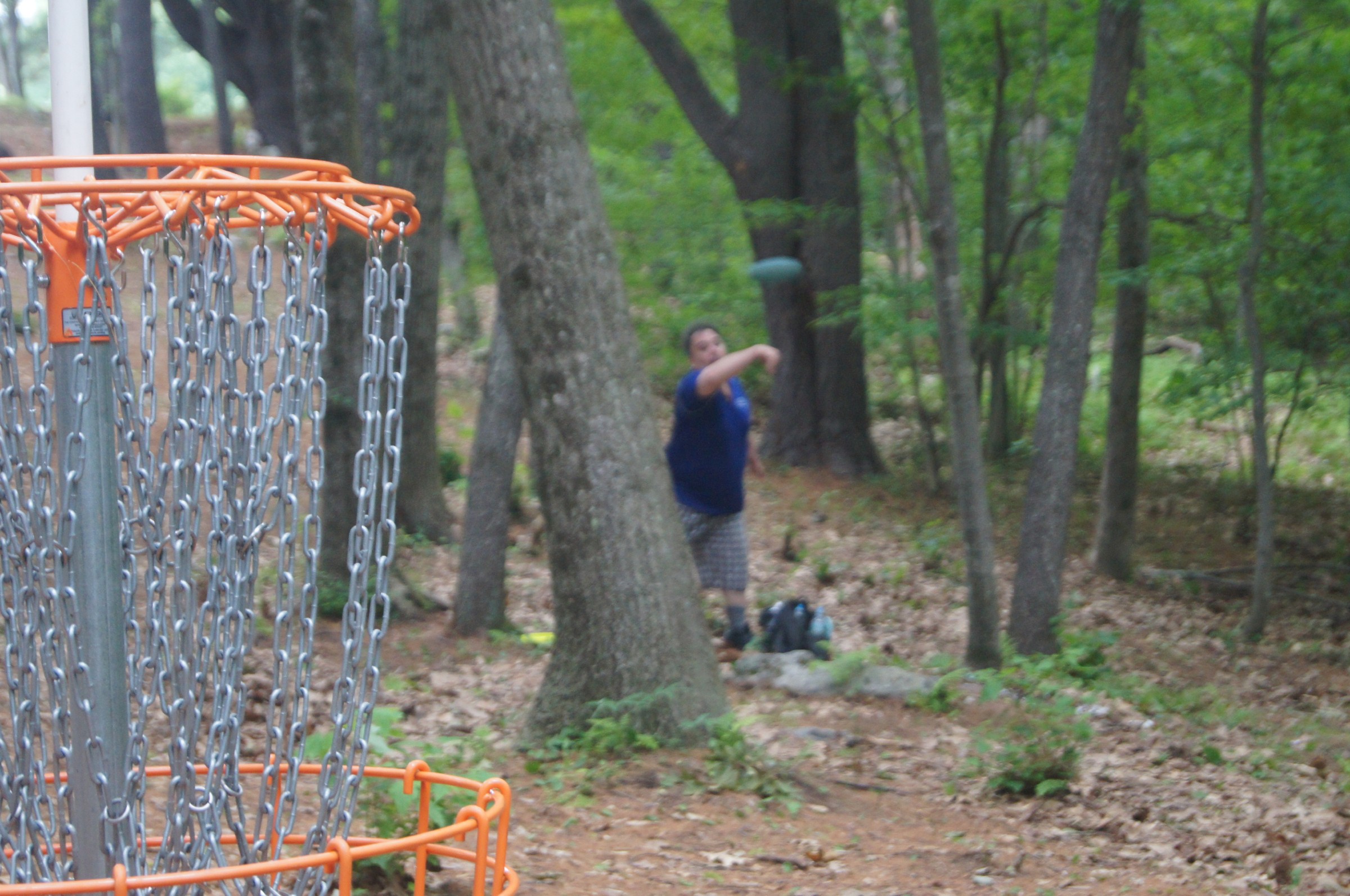 Hole 12 • Blues / Maple Hill (Leicester, MA) Disc Golf Courses Disc