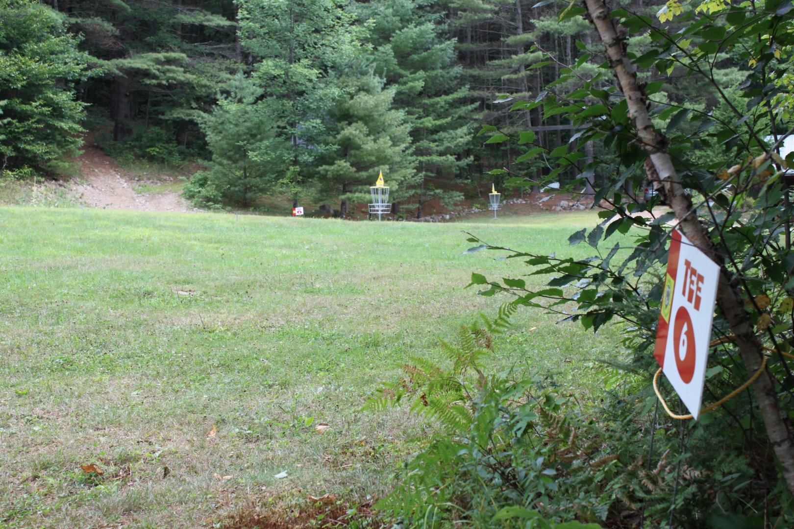 Hole 6 • Stone Bridge & Caves (Pottersville, NY) Disc Golf Courses