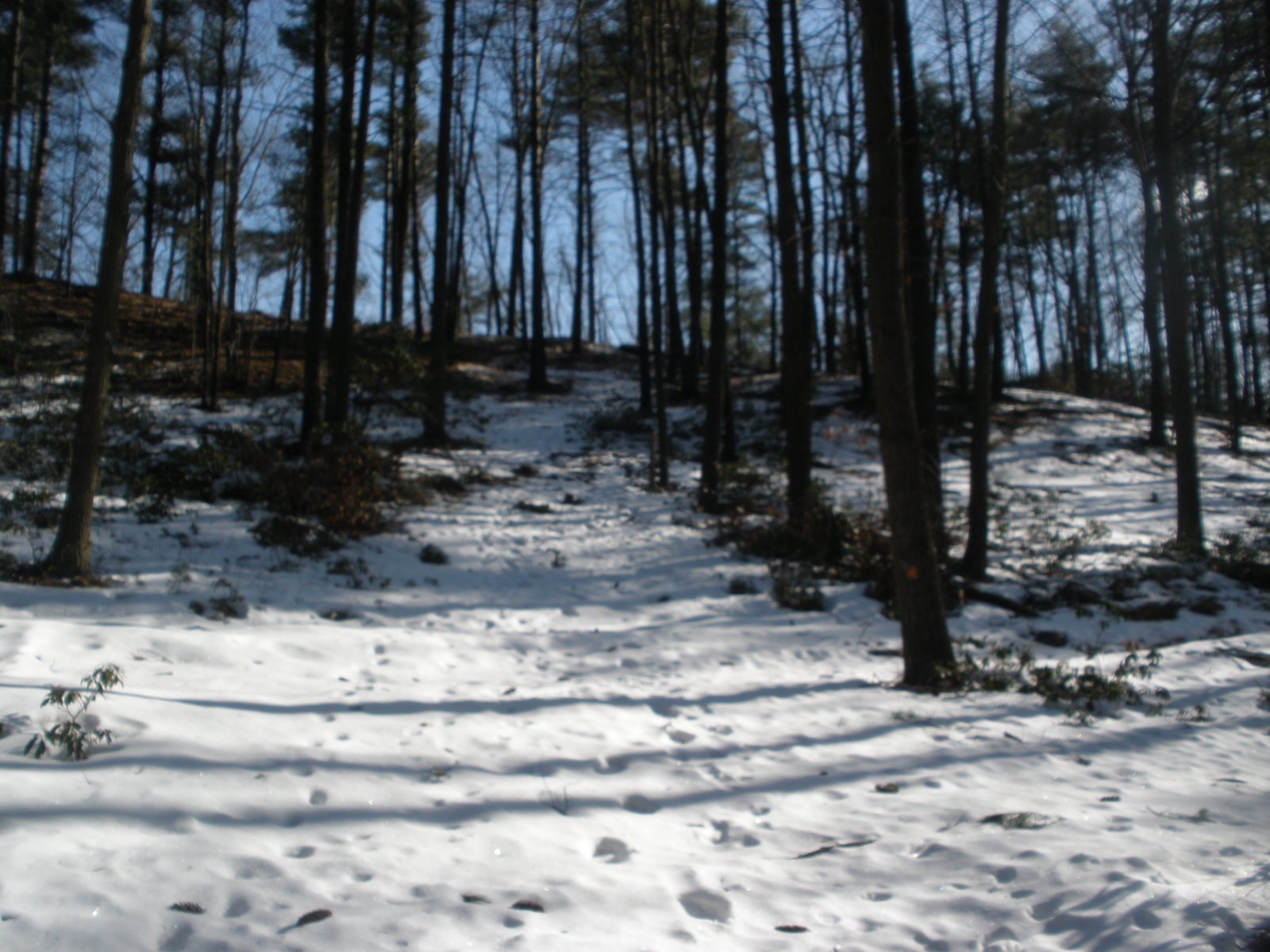 Hole 7 • Coggshall Park (Fitchburg, MA) Disc Golf Courses Disc Golf