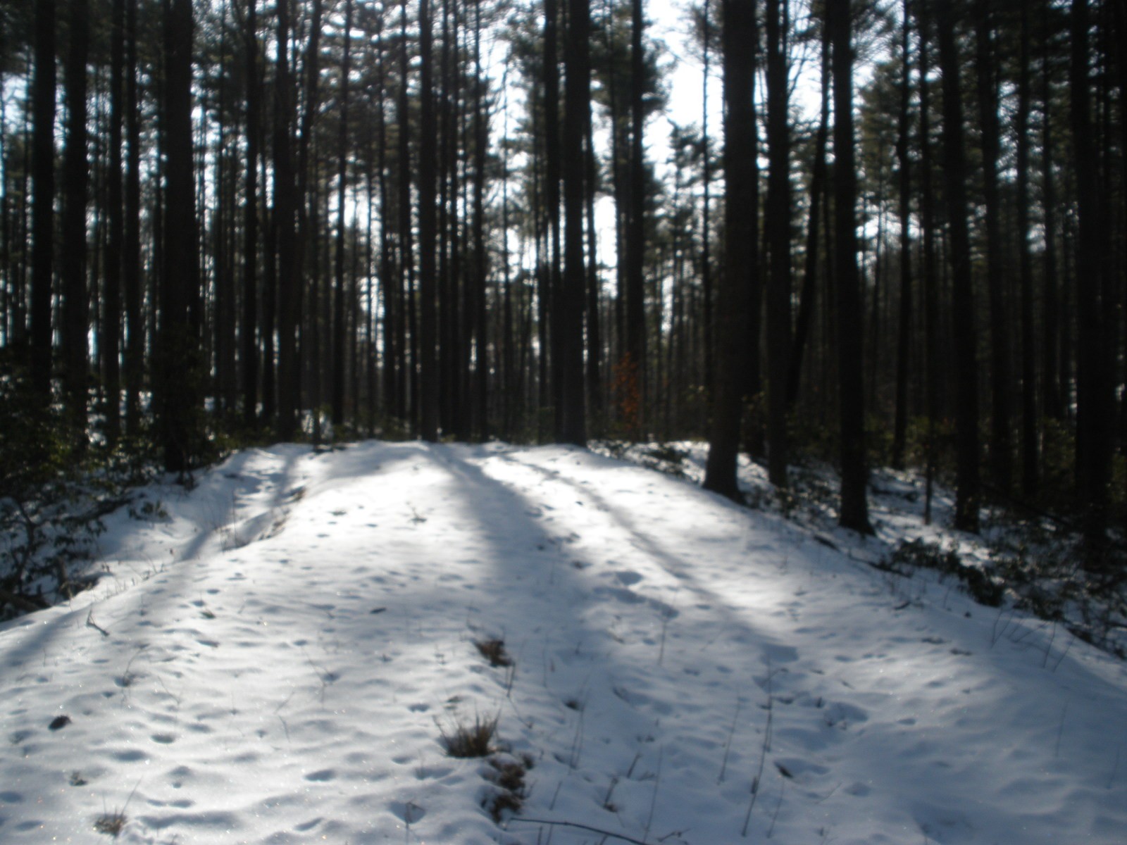 Hole 5 • Coggshall Park (Fitchburg, MA) Disc Golf Courses Disc Golf