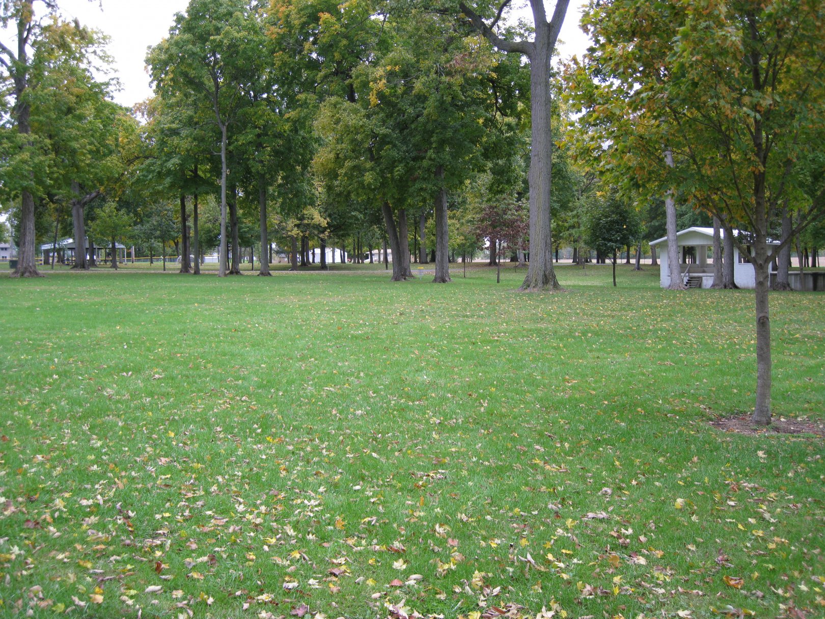 Hole 4 • Hopedale Park (Hopedale, IL) Disc Golf Courses Disc Golf Scene