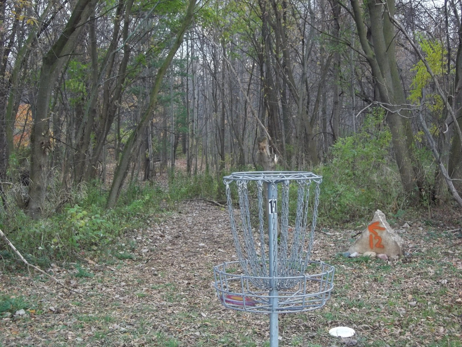 Hole 11 • McCurdy Park (Corunna, MI) Disc Golf Courses Disc Golf Scene