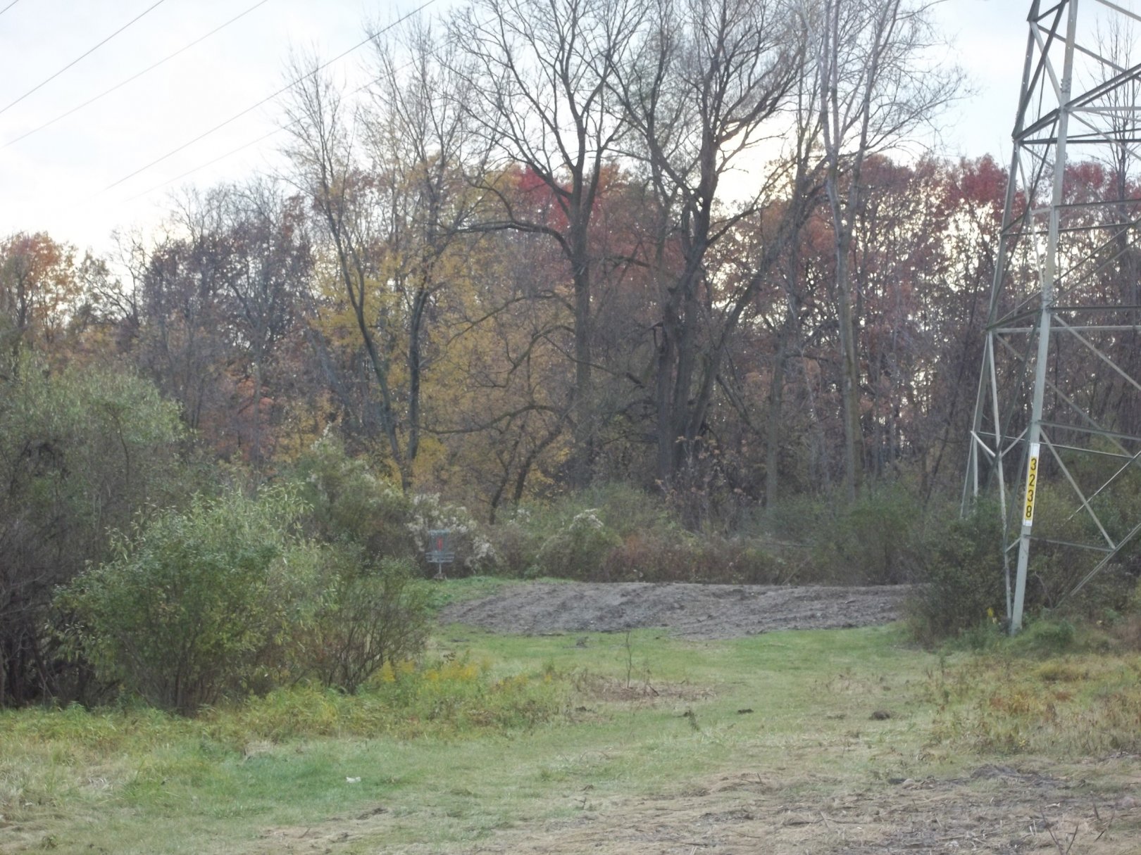 Hole 13 • McCurdy Park (Corunna, MI) Disc Golf Courses Disc Golf Scene