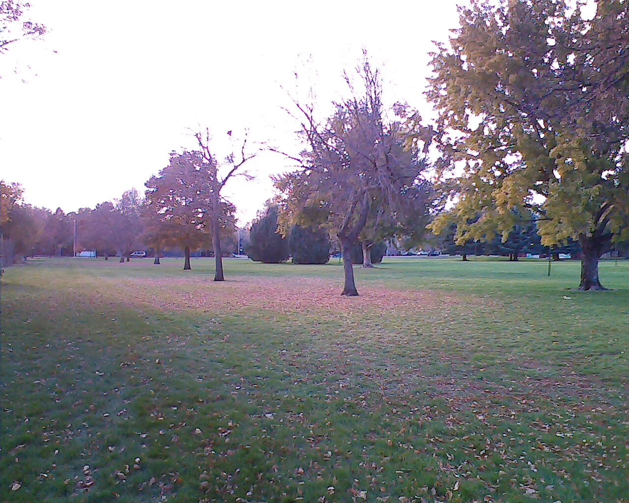 Hole 9 • Centennial Park (Longmont, CO) Disc Golf Courses Disc Golf