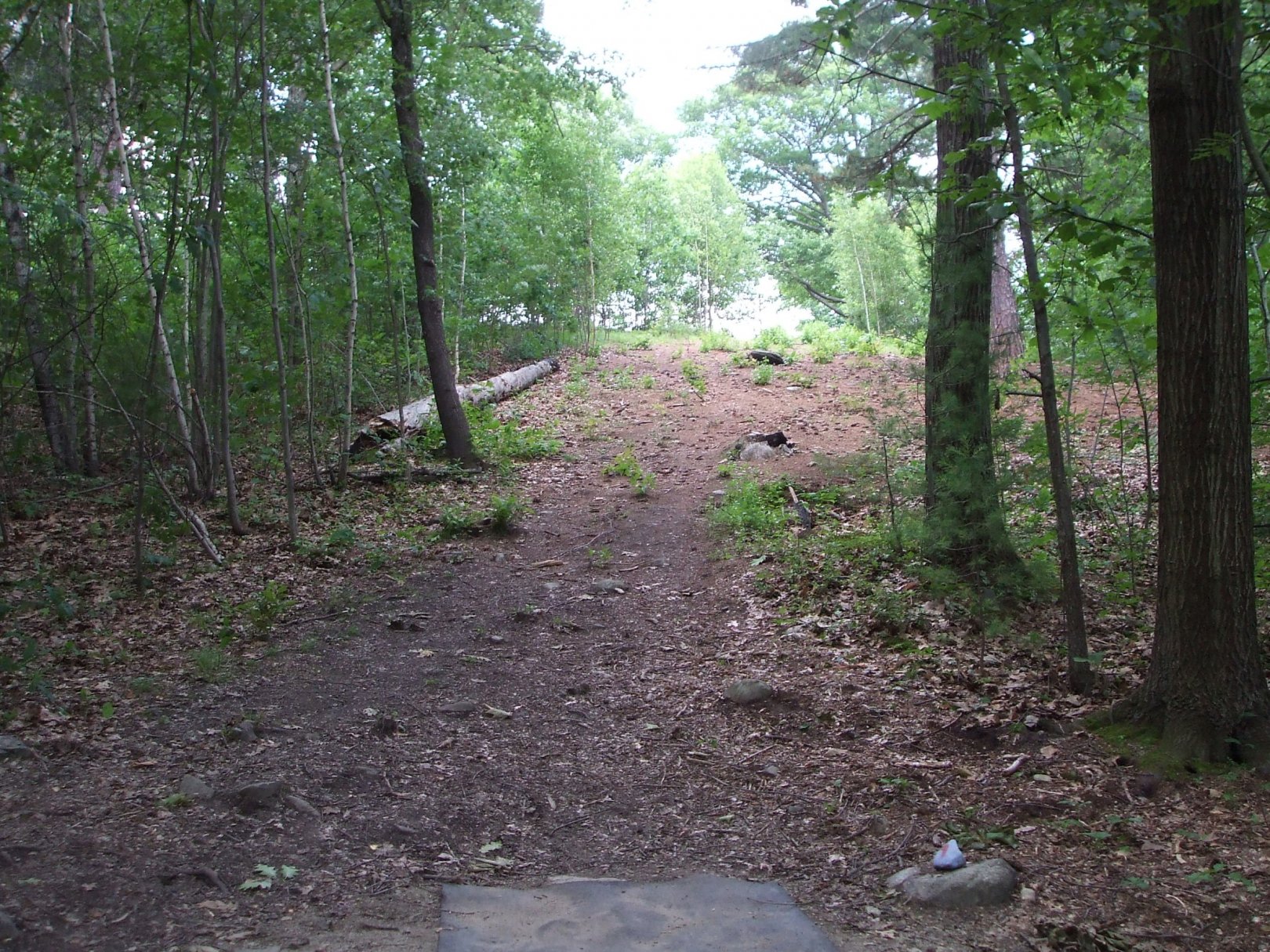 Hole 9 • Newton Hill (Worcester, MA) Disc Golf Courses Disc Golf Scene