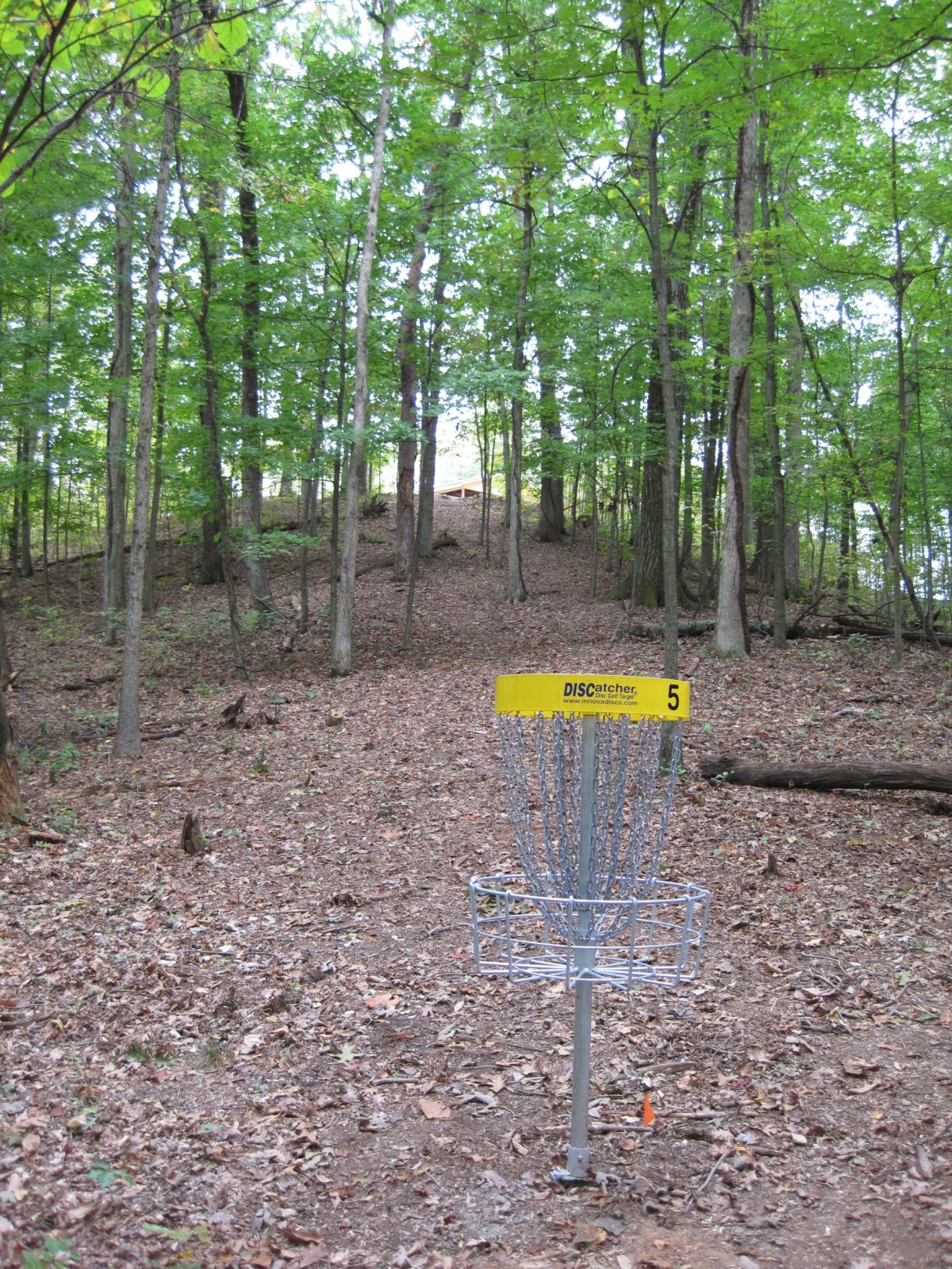 Hole 5 • Little Creek Park (South Charleston, WV) Disc Golf Courses