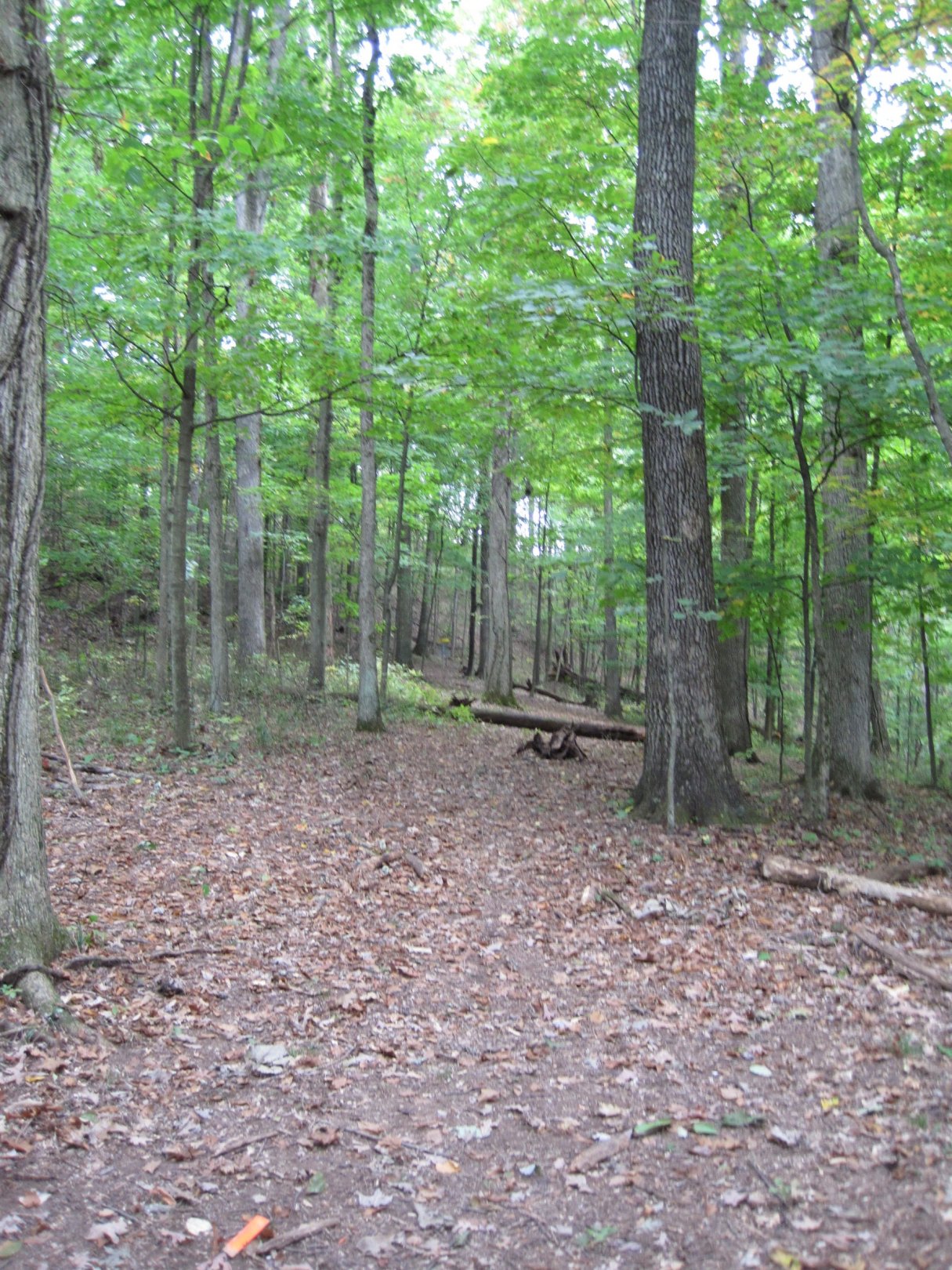Hole 6 • Little Creek Park (South Charleston, WV) Disc Golf Courses