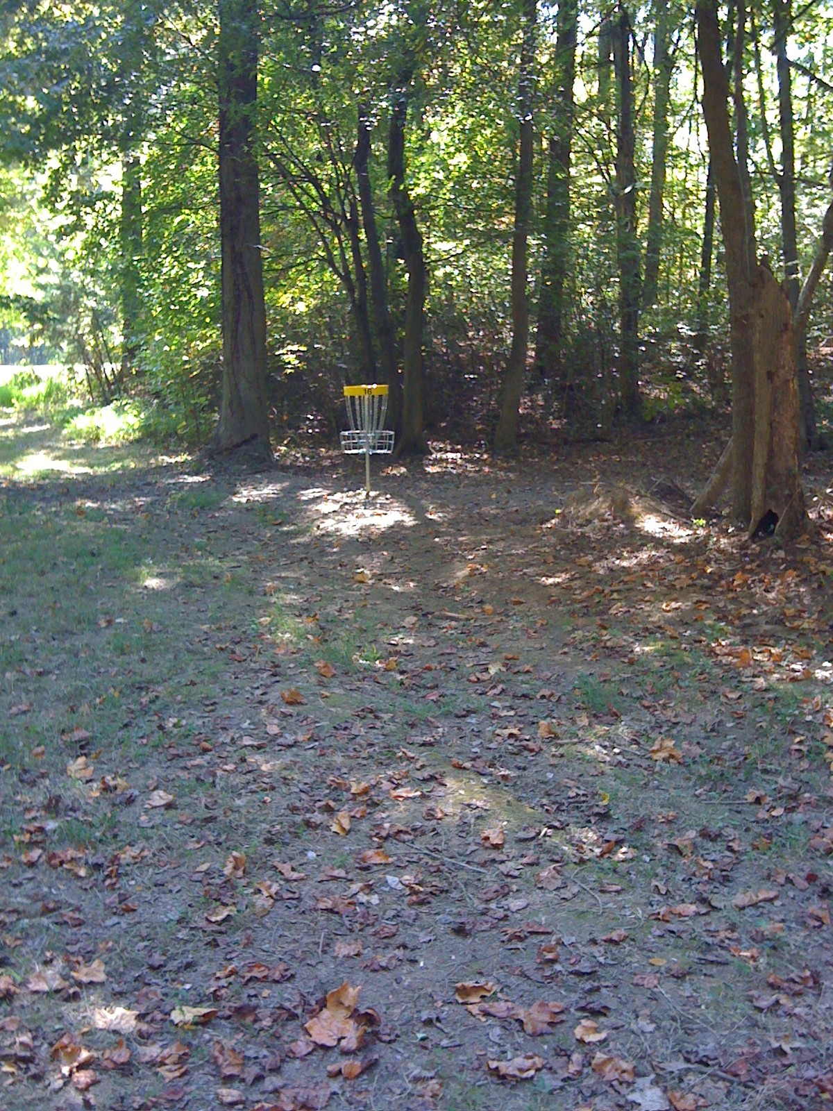 Hole 16 • Nevin Park (Charlotte, NC) Disc Golf Courses Disc Golf Scene