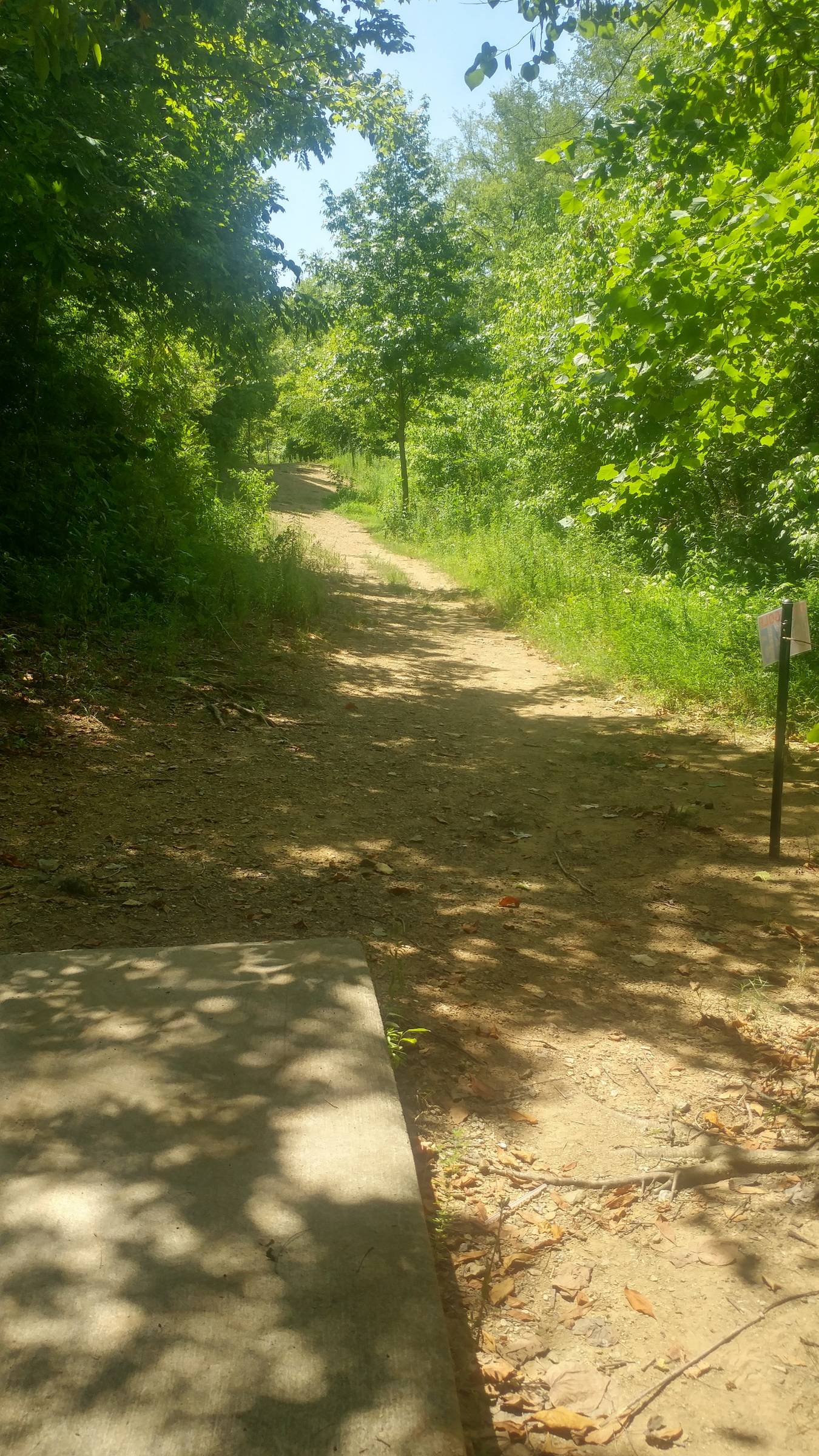 Hole 15 • Heritage Point (Dalton, GA) Disc Golf Courses Disc Golf Scene