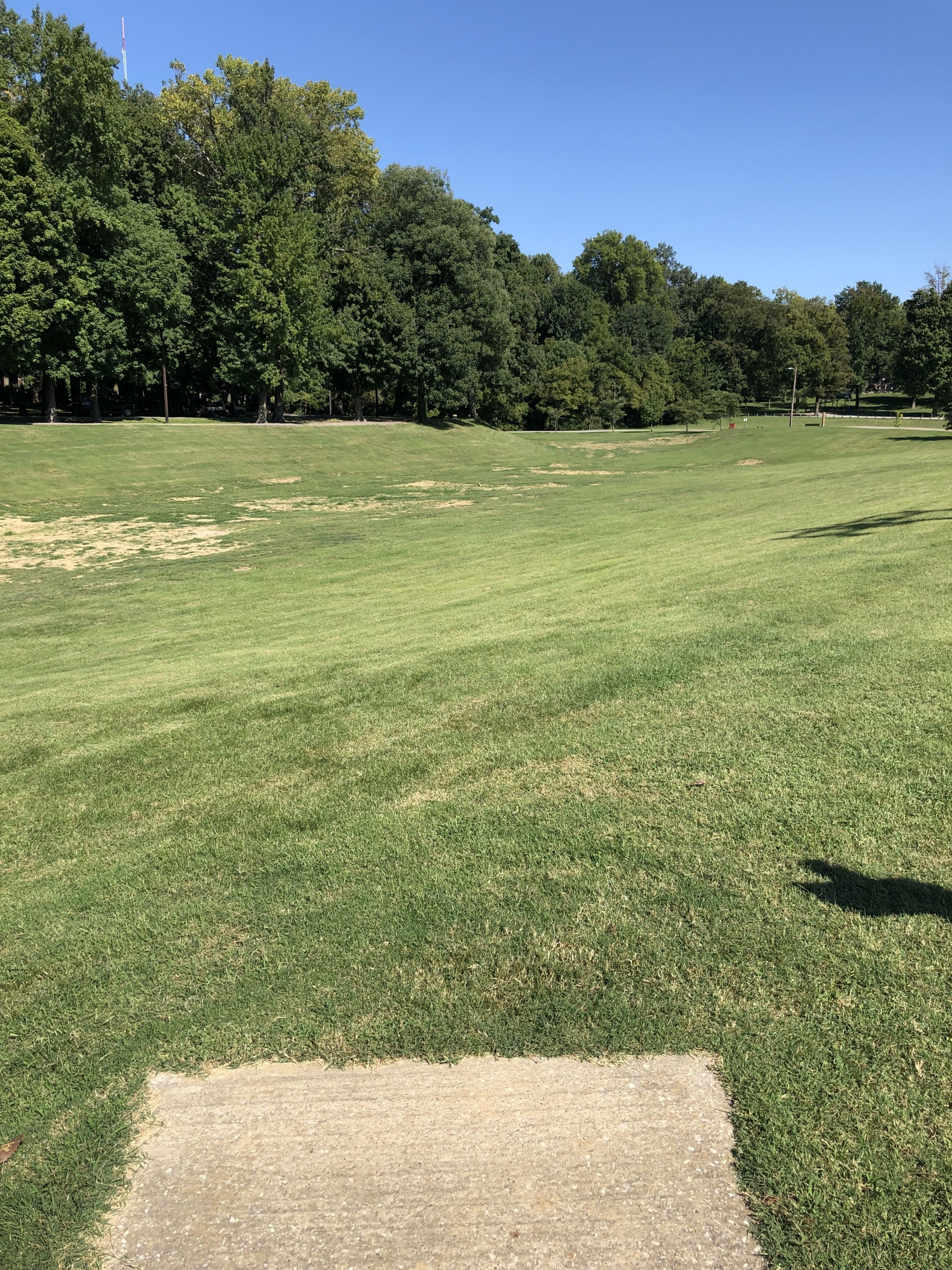 Hole 8 • Atkinson Park (Henderson, KY) Disc Golf Courses Disc Golf