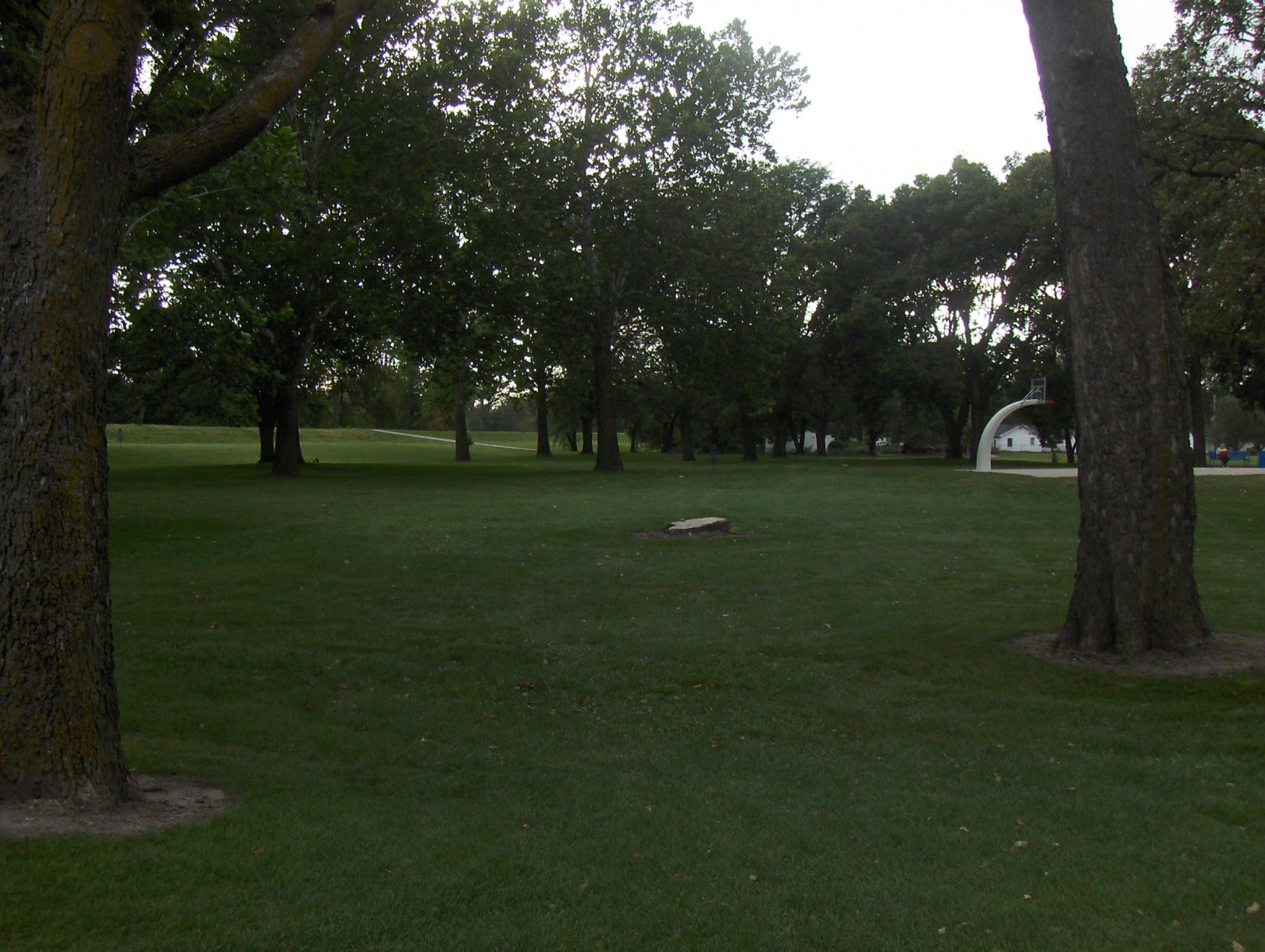 Hole 4 • Pete Crivaro Park (Des Moines, IA) Disc Golf Courses Disc
