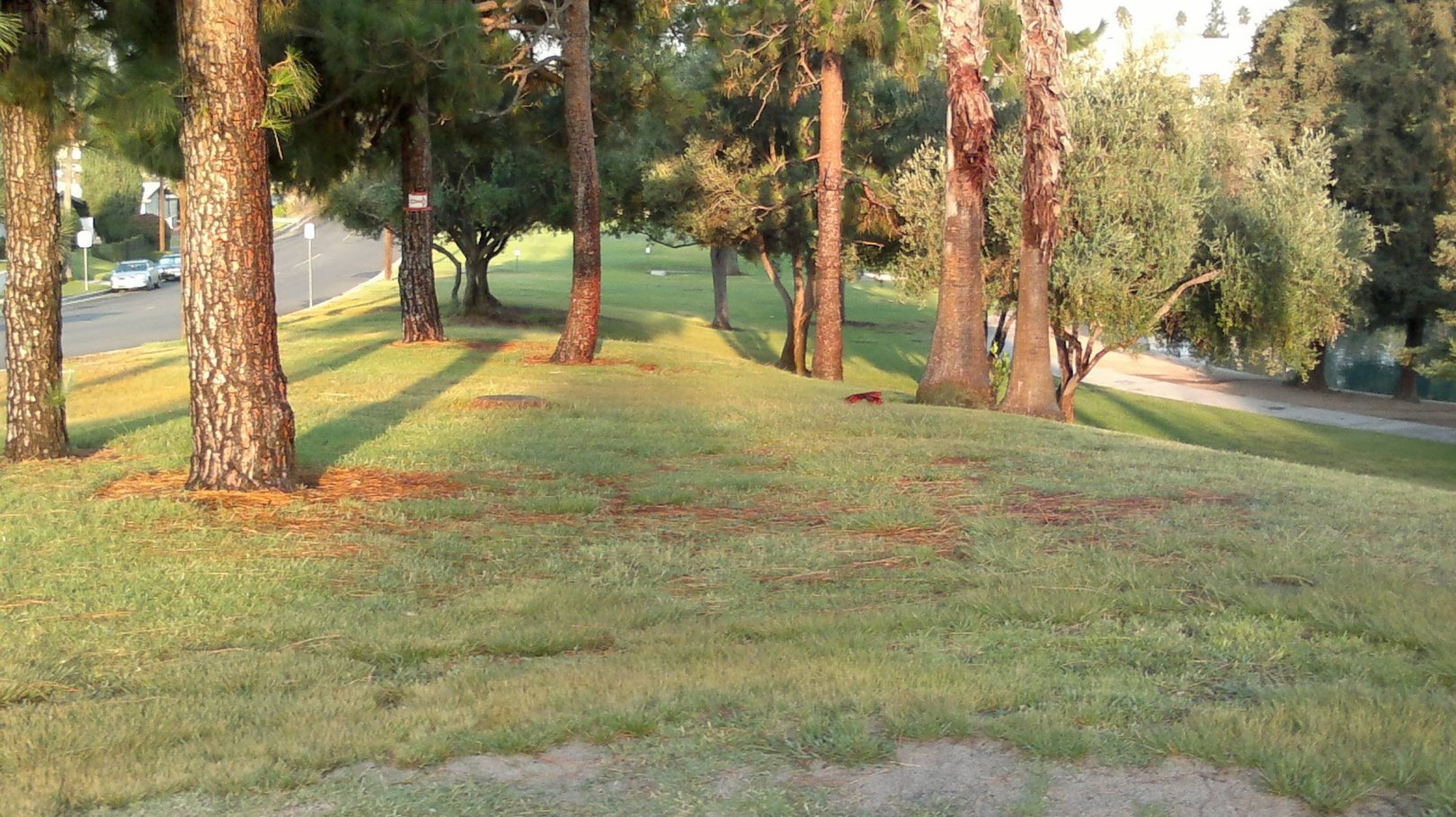 Hole 13 • La Mirada Regional Park (La Mirada, CA) Disc Golf Courses