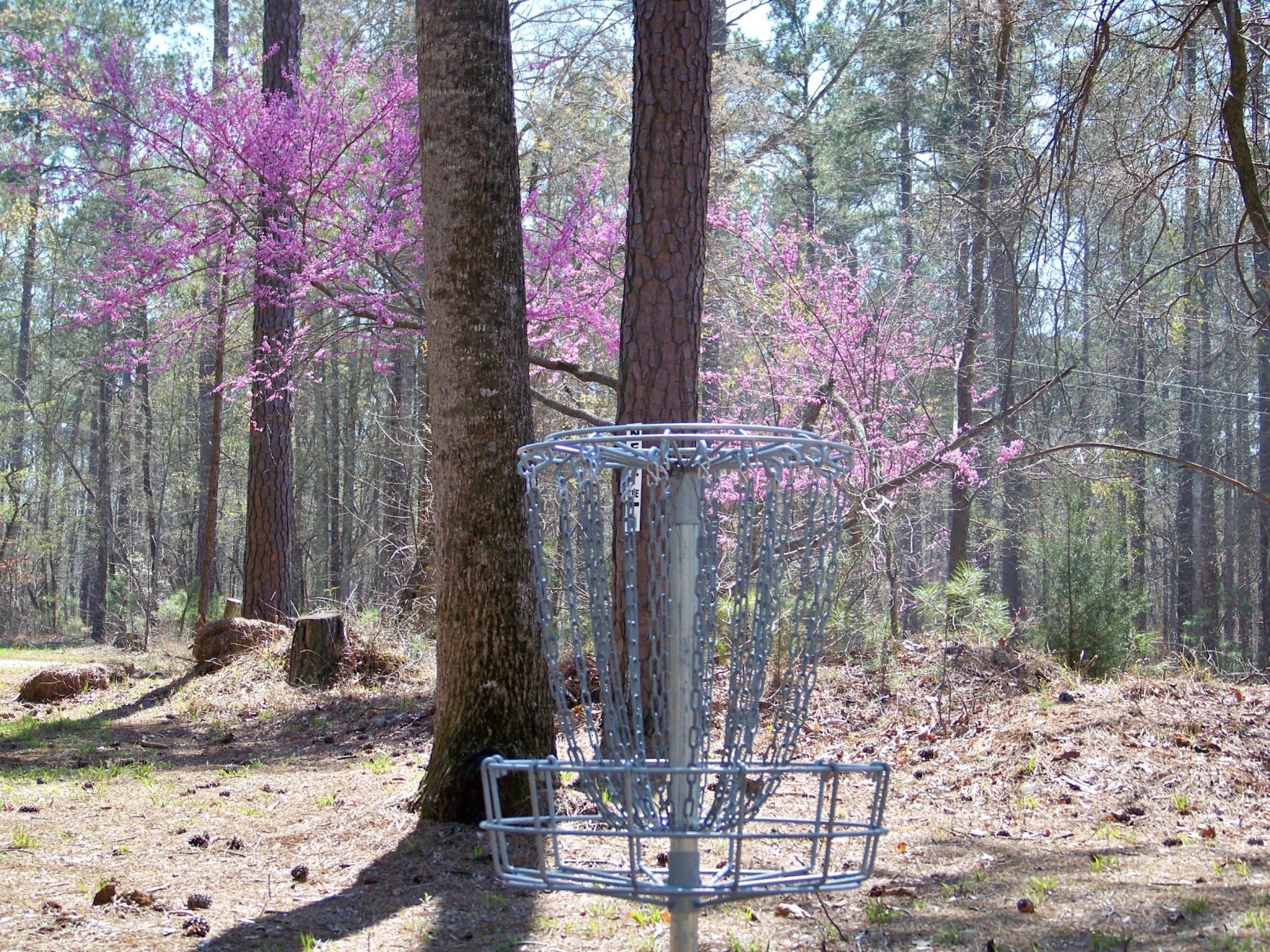 Hole 11 • Jim Warner Memorial / International Disc Golf Center (Appling