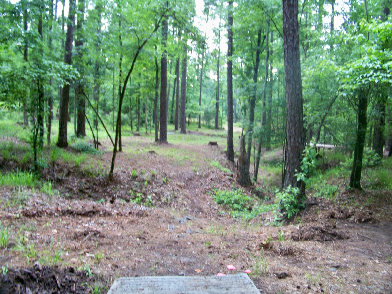 Hole 9 • Jim Warner Memorial / International Disc Golf Center (Appling