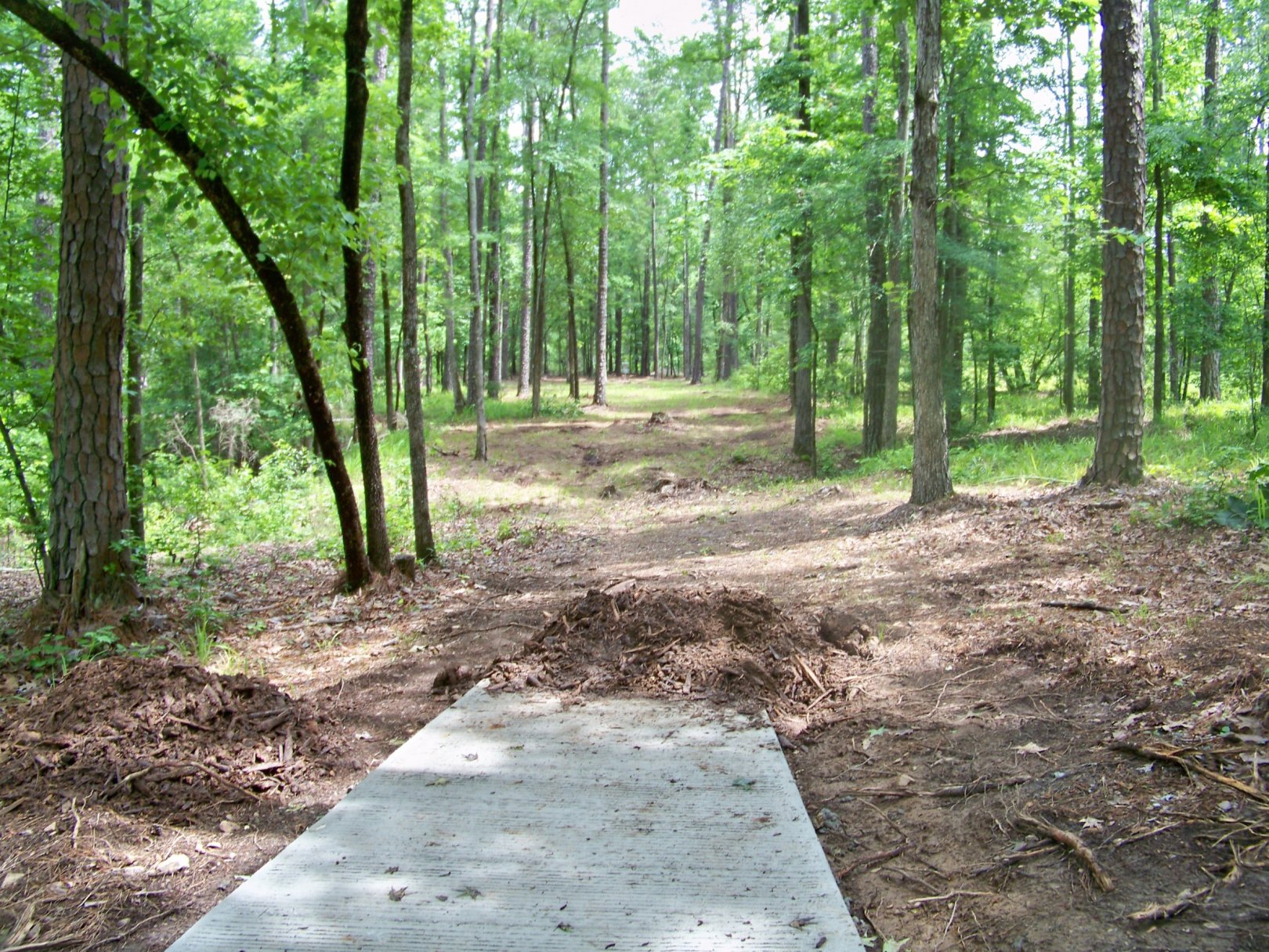 Hole 2 • Jim Warner Memorial / International Disc Golf Center (Appling