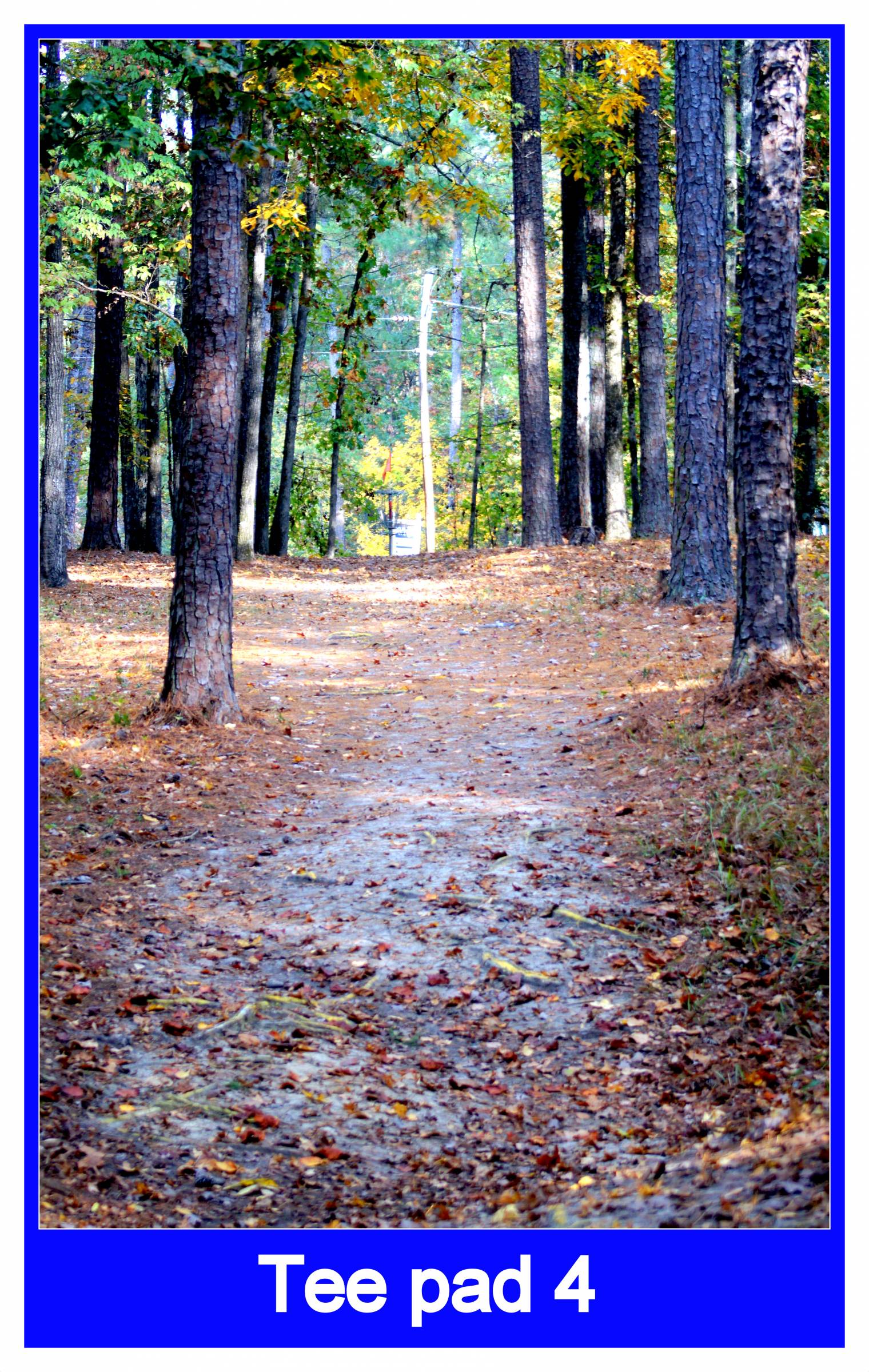 Hole 4 • Jim Warner Memorial / International Disc Golf Center (Appling