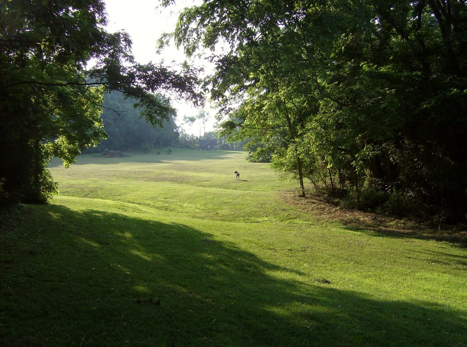 Hole 9 • The Shire (Lebanon, TN) Disc Golf Courses