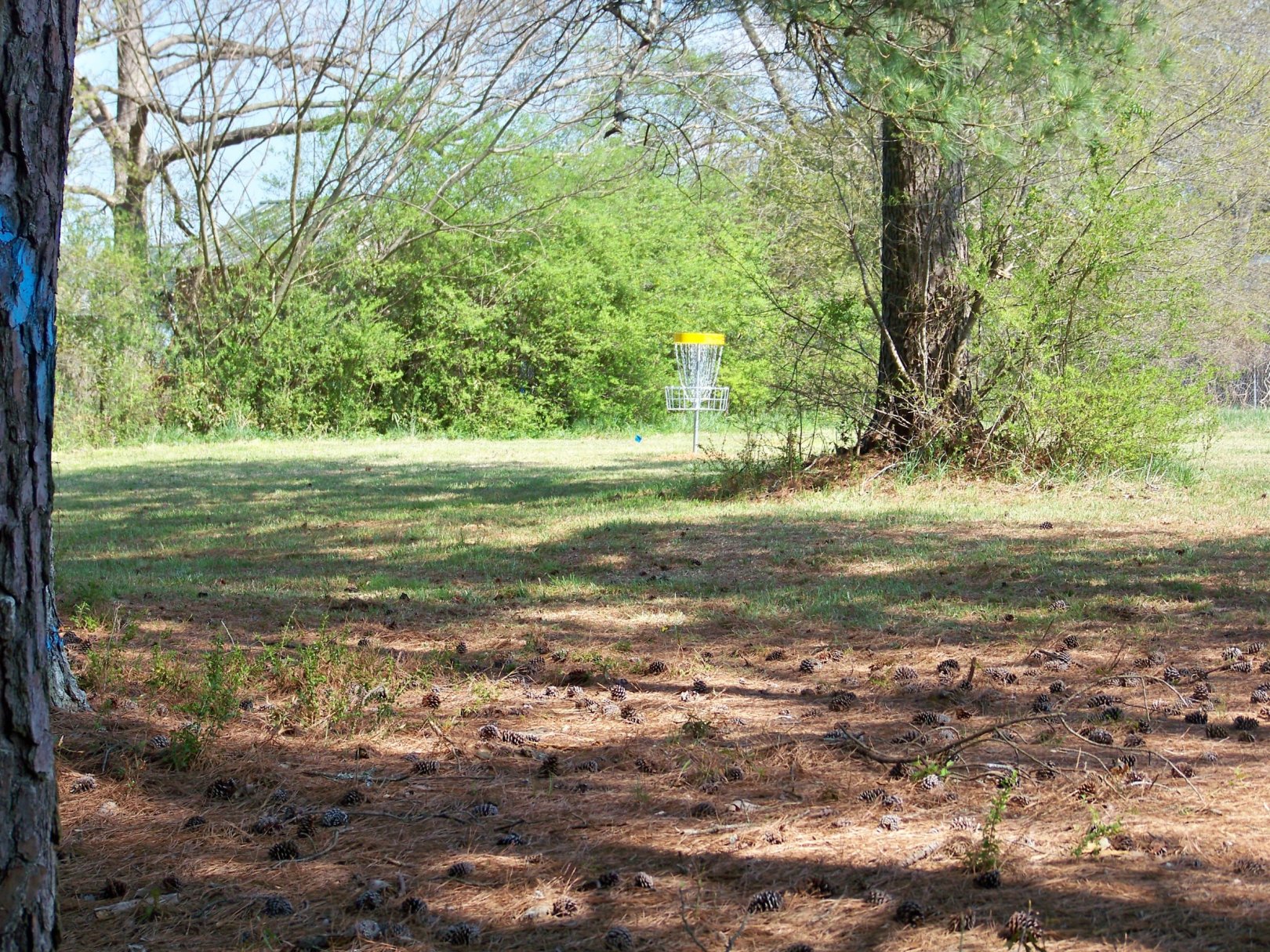 Hole 2 • Mathews Park (Monroe, GA) Disc Golf Courses Disc Golf Scene