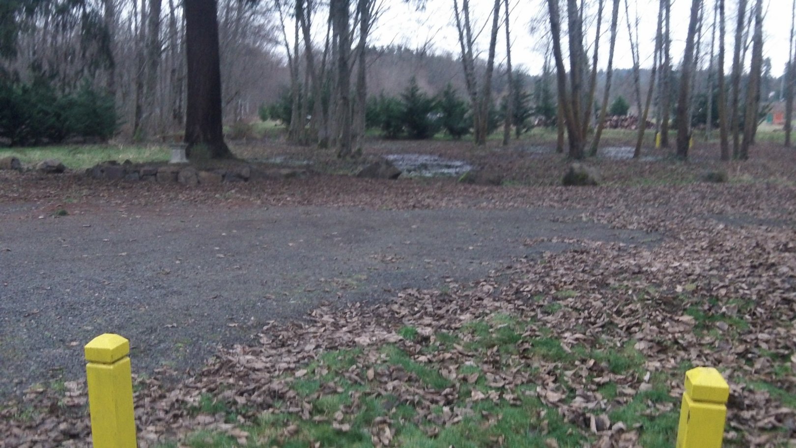 Hole 5 • Twin Cedars DGC (Castle Rock, WA) Disc Golf Courses Disc