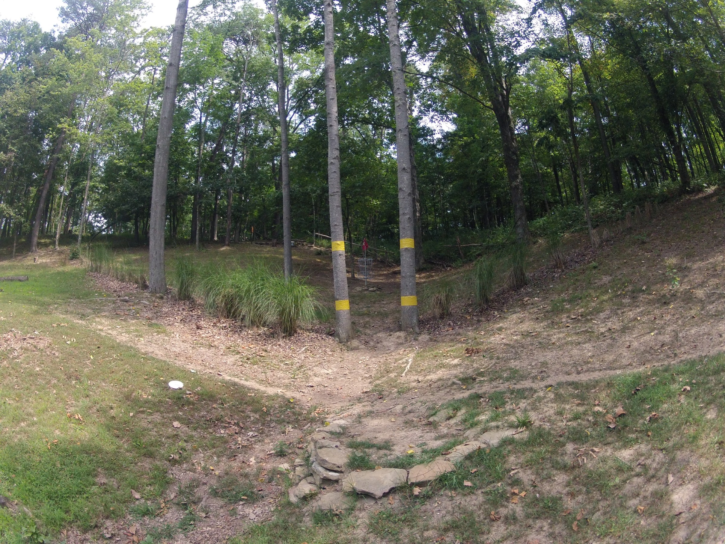 Hole 9 • The Timberdoodle Thicket (Middlebourne, WV) Disc Golf