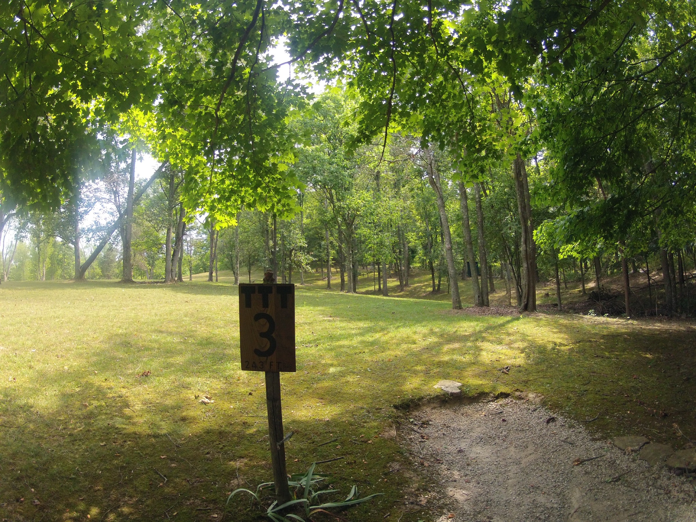 Hole 3 • The Timberdoodle Thicket (Middlebourne, WV) Disc Golf