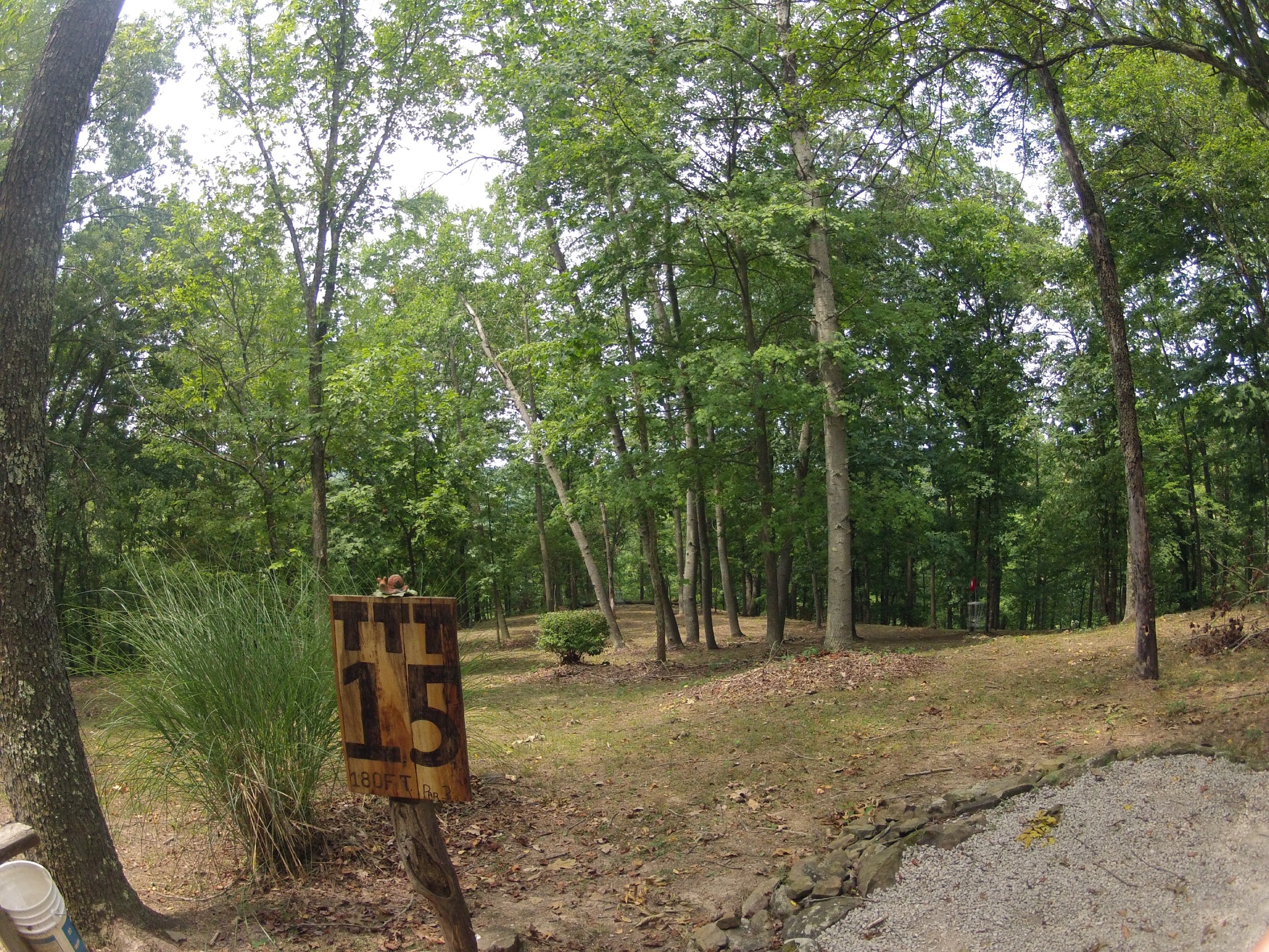 Hole 15 • The Timberdoodle Thicket (Middlebourne, WV) Disc Golf