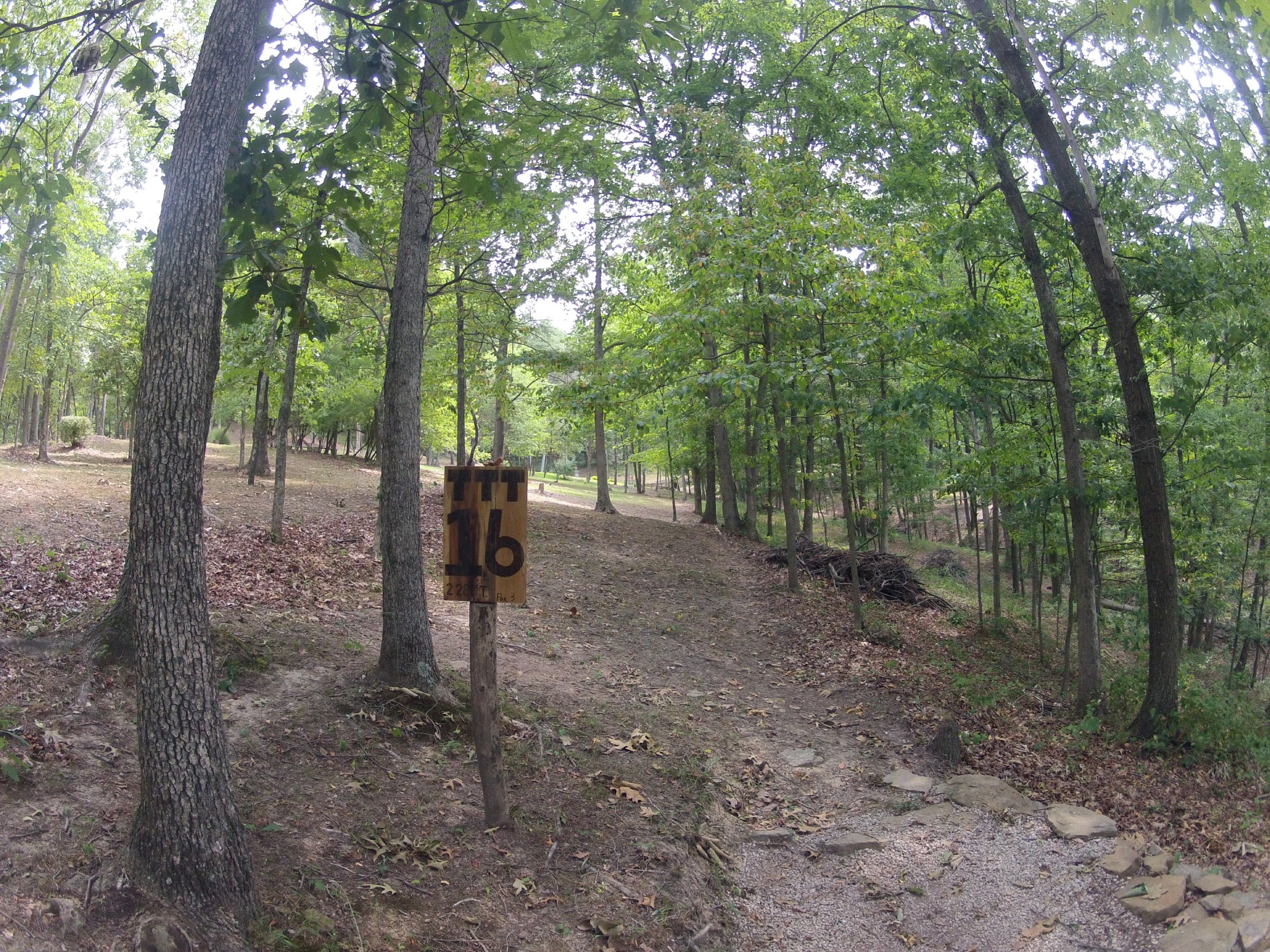 Hole 16 • The Timberdoodle Thicket (Middlebourne, WV) Disc Golf