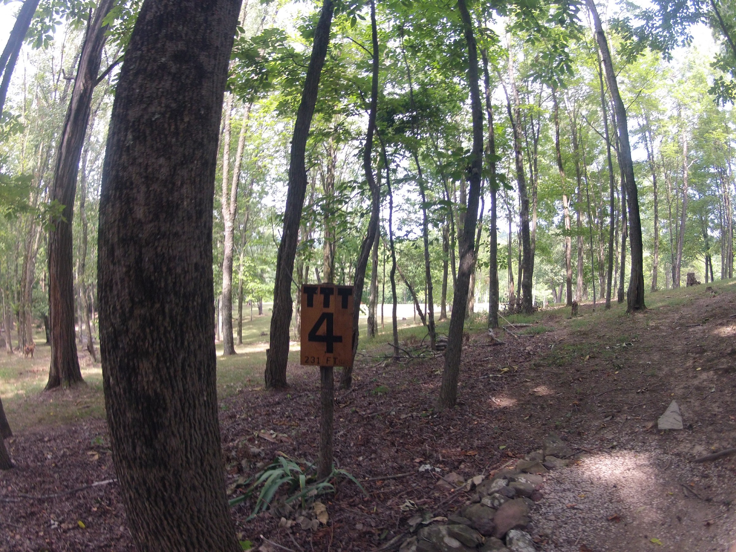 Hole 4 • The Timberdoodle Thicket (Middlebourne, WV) Disc Golf
