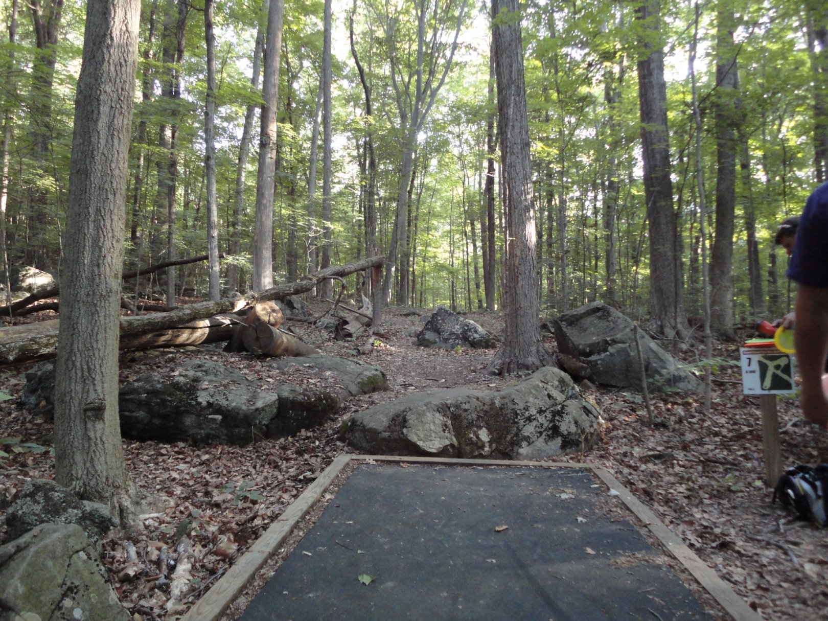 Hole 7 • Unami Creek Park (Quakertown, PA) Disc Golf Courses Disc