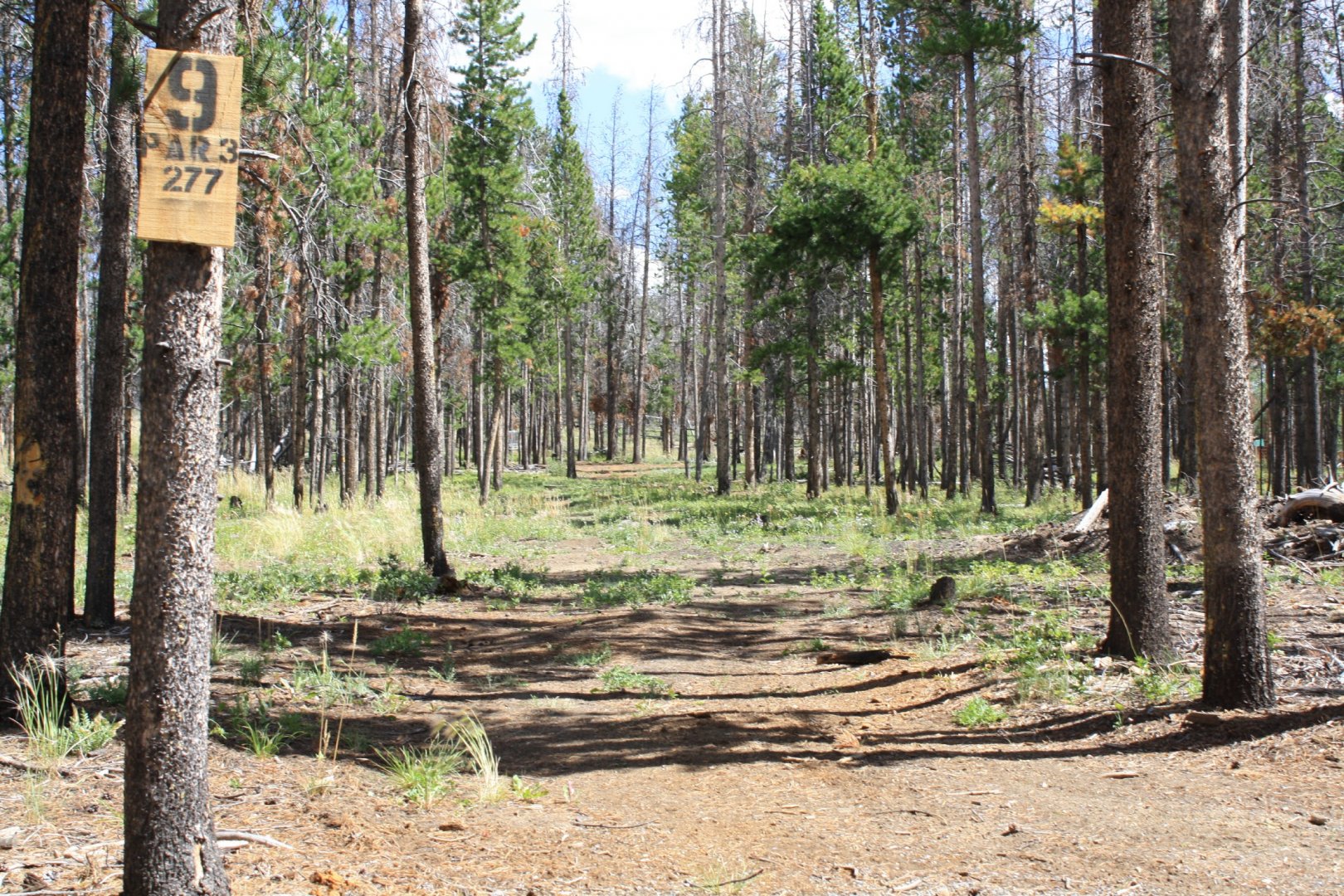 Hole 9 • Crooked Creek Resort (Dubois, WY) Disc Golf Courses Disc