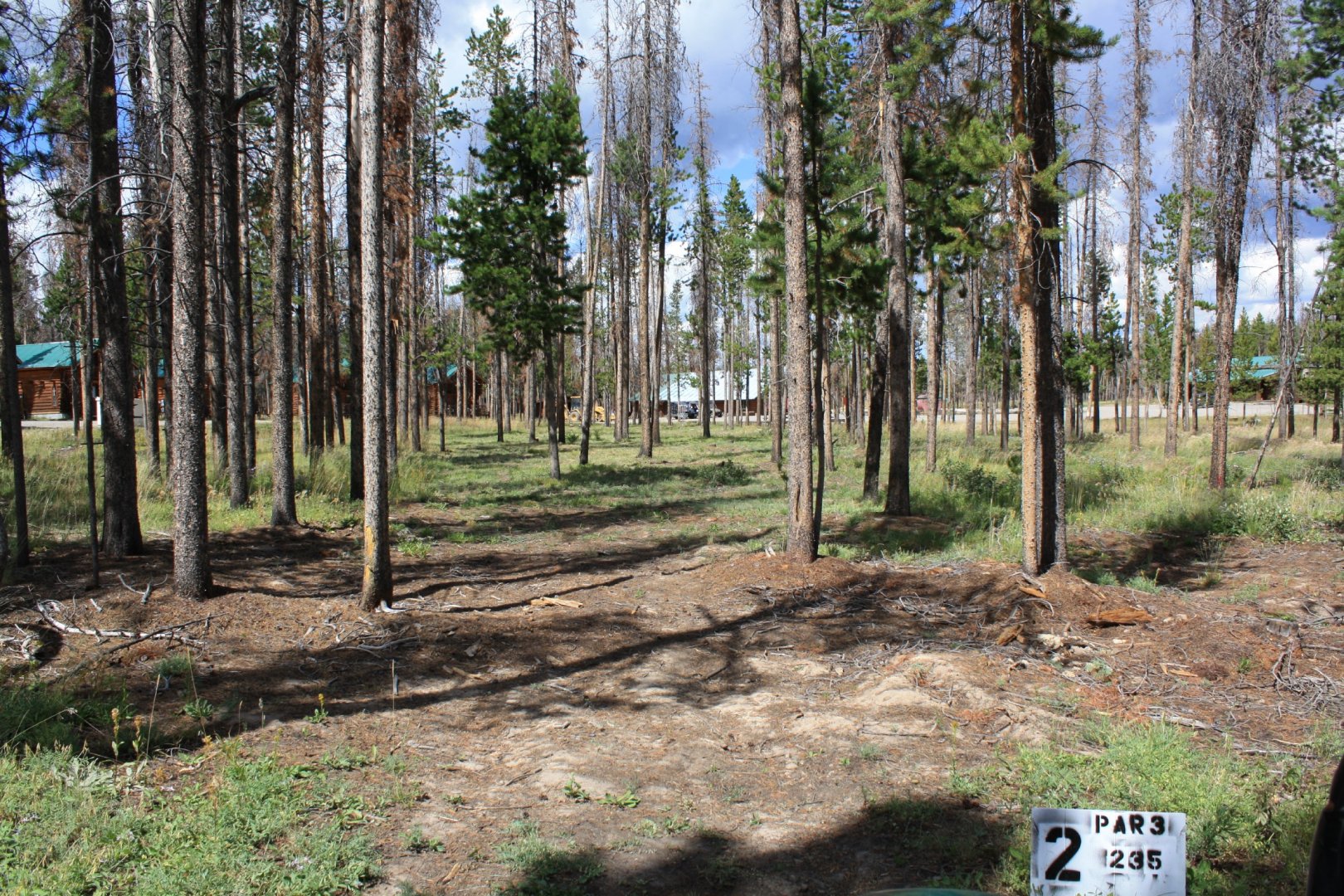 Hole 2 • Crooked Creek Resort (Dubois, WY) Disc Golf Courses Disc