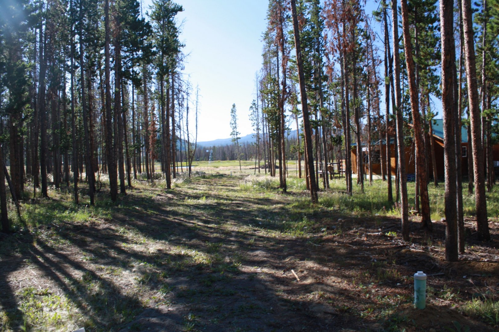 Hole 17 • Crooked Creek Resort (Dubois, WY) Disc Golf Courses Disc