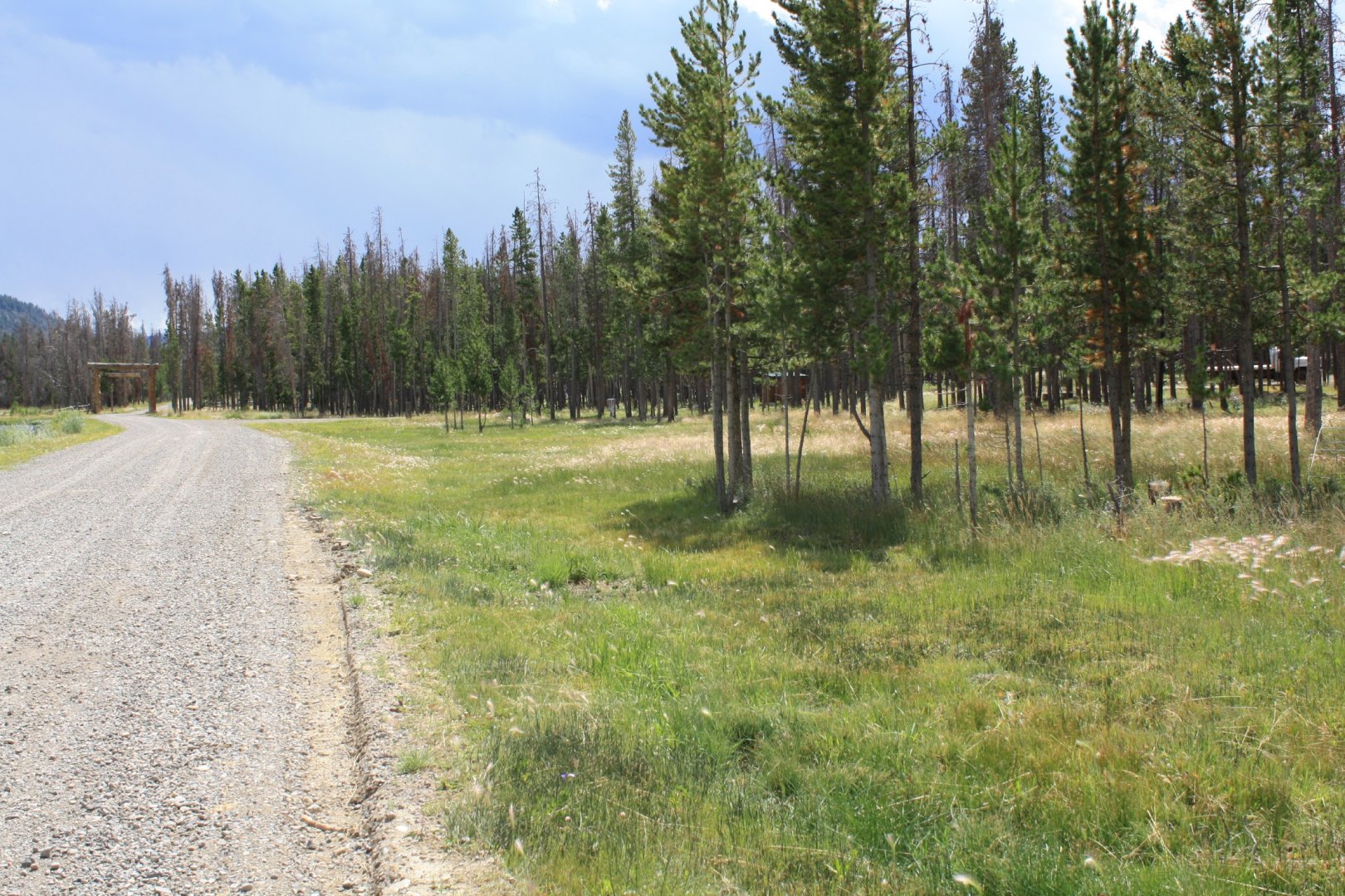 Hole 1 • Crooked Creek Resort (Dubois, WY) Disc Golf Courses Disc