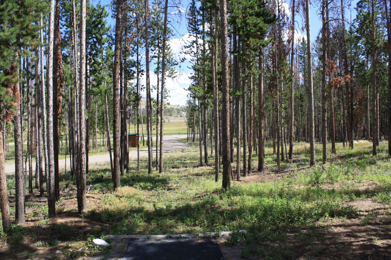 Hole 5 • Crooked Creek Resort (Dubois, WY) Disc Golf Courses Disc