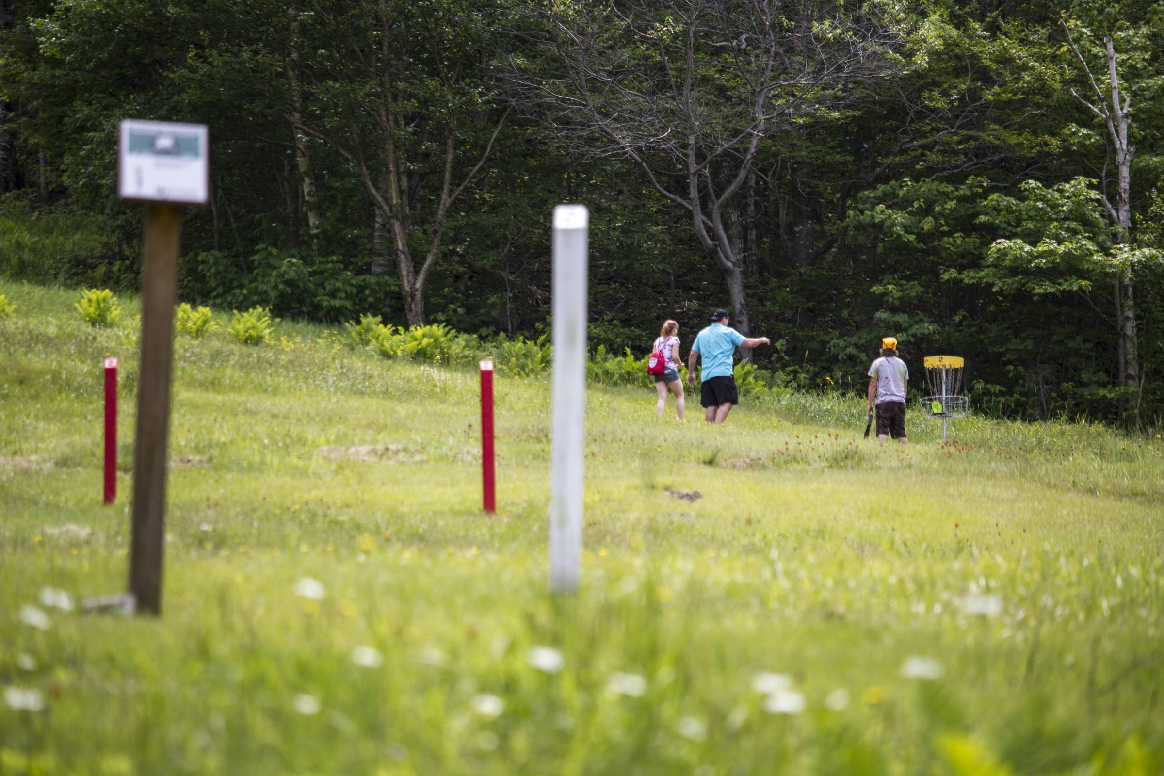 Hole 2 • Wildcat Mountain (Pinkham Notch, NH) Disc Golf Courses