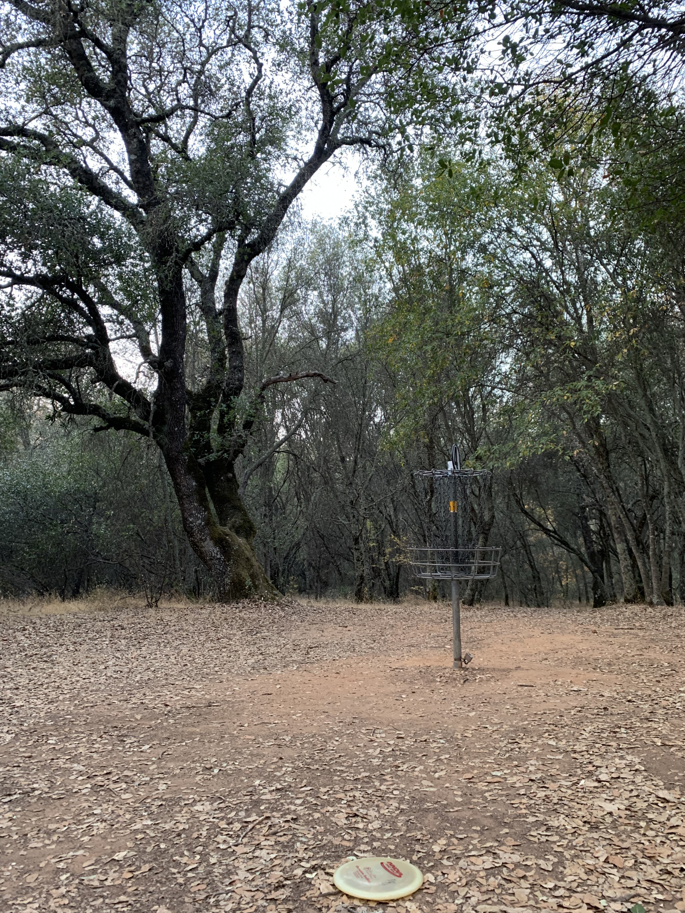 Hole 4 • Western Gateway Park (Penn Valley, CA) Disc Golf Courses