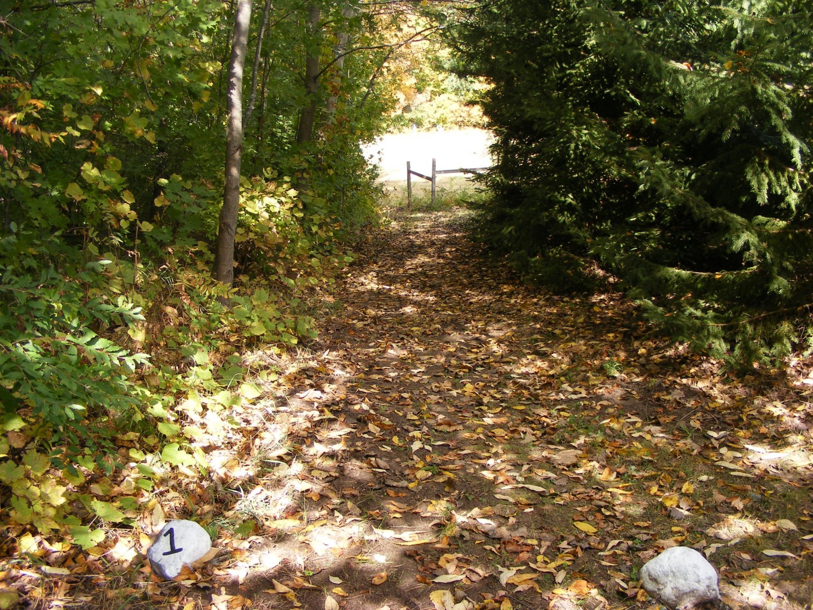 Hole 1 • The Switchback (Mt. Pleasant, MI) Disc Golf Courses Disc