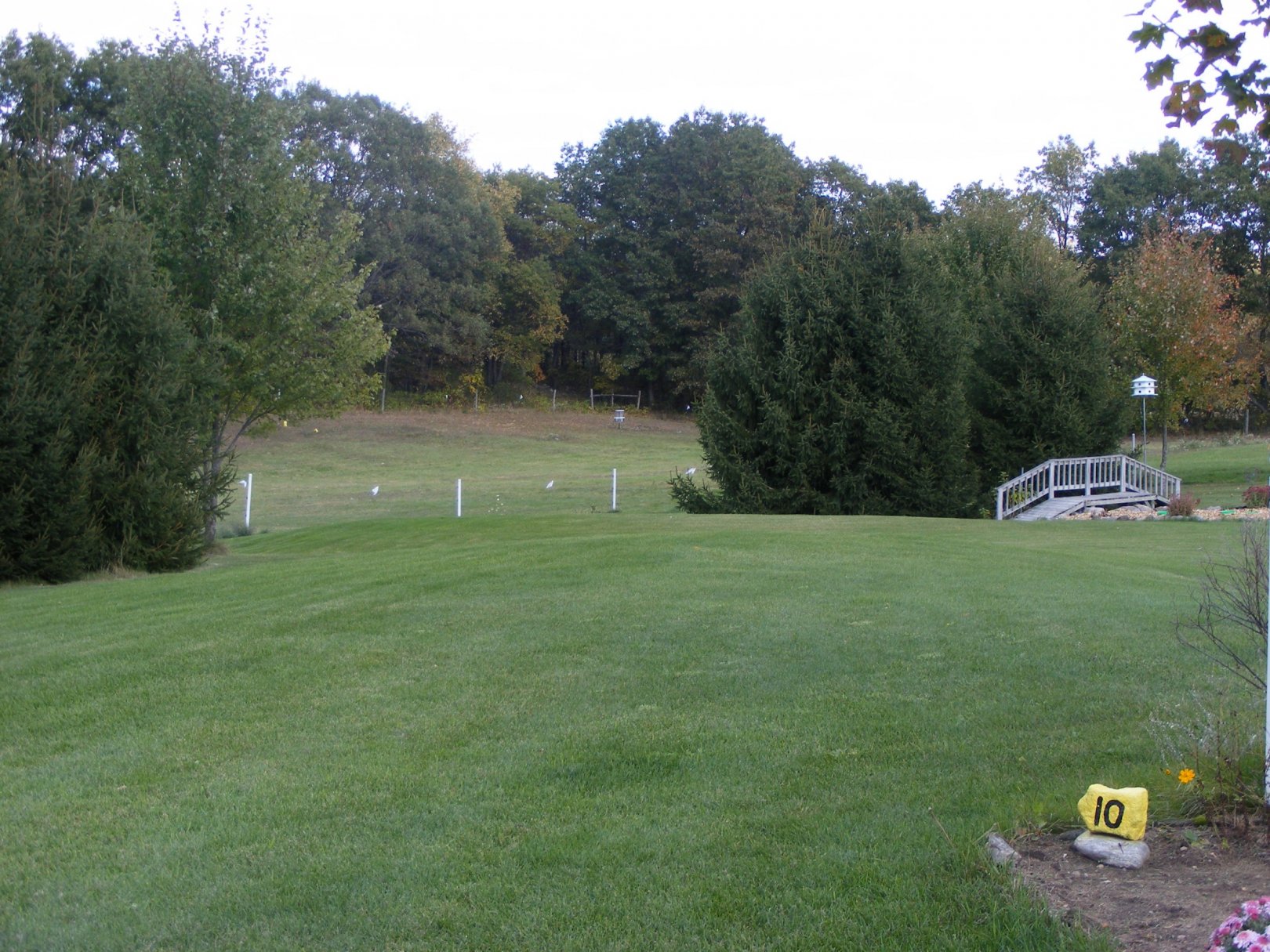 Hole 10 • The Switchback (Mt. Pleasant, MI) Disc Golf Courses Disc
