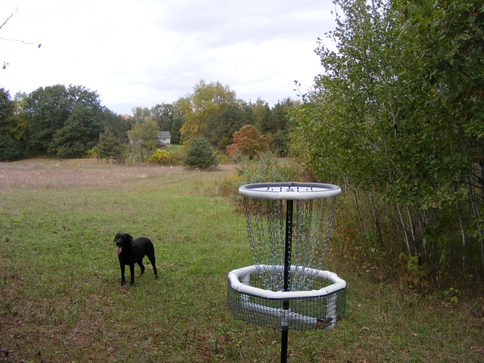 Hole 5 • The Switchback (Mt. Pleasant, MI) Disc Golf Courses Disc