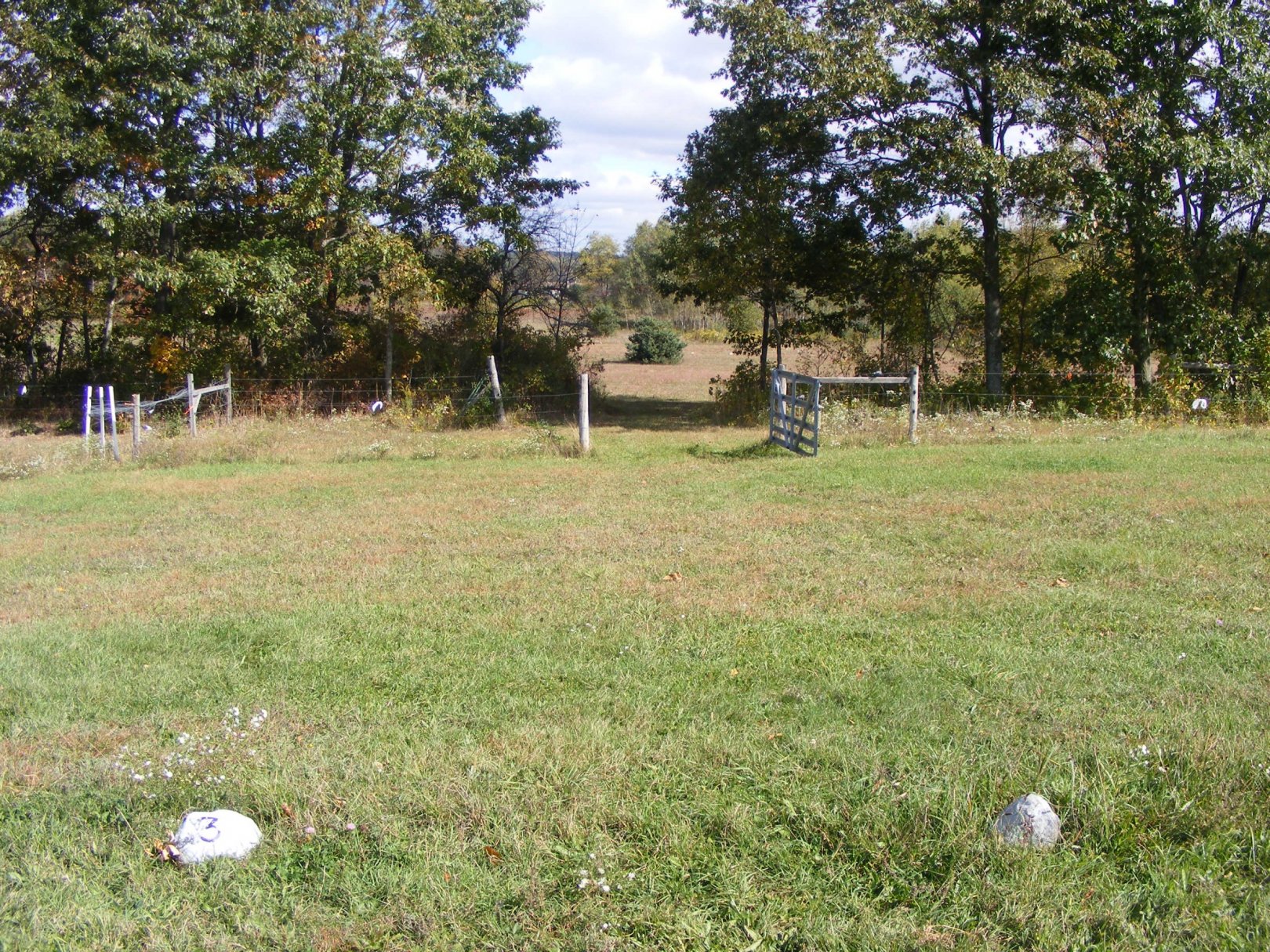 Hole 3 • The Switchback (Mt. Pleasant, MI) Disc Golf Courses Disc