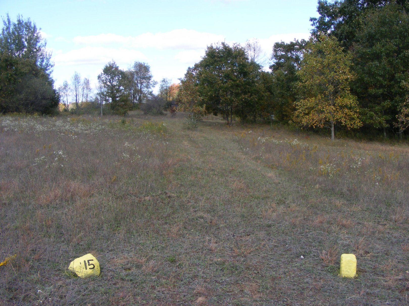 Hole 15 • The Switchback (Mt. Pleasant, MI) Disc Golf Courses Disc