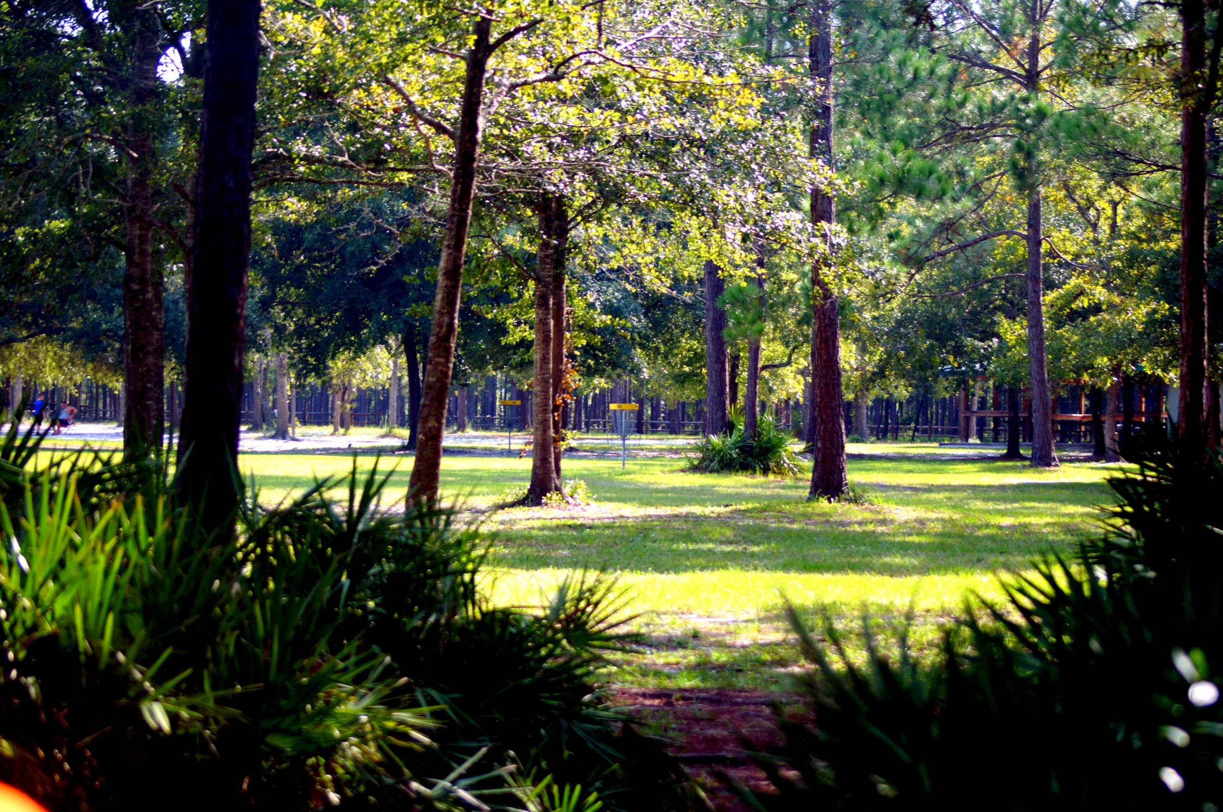 Hole 10 • Ronnie Van Zant Memorial Park (Green Cove Springs, FL) Disc
