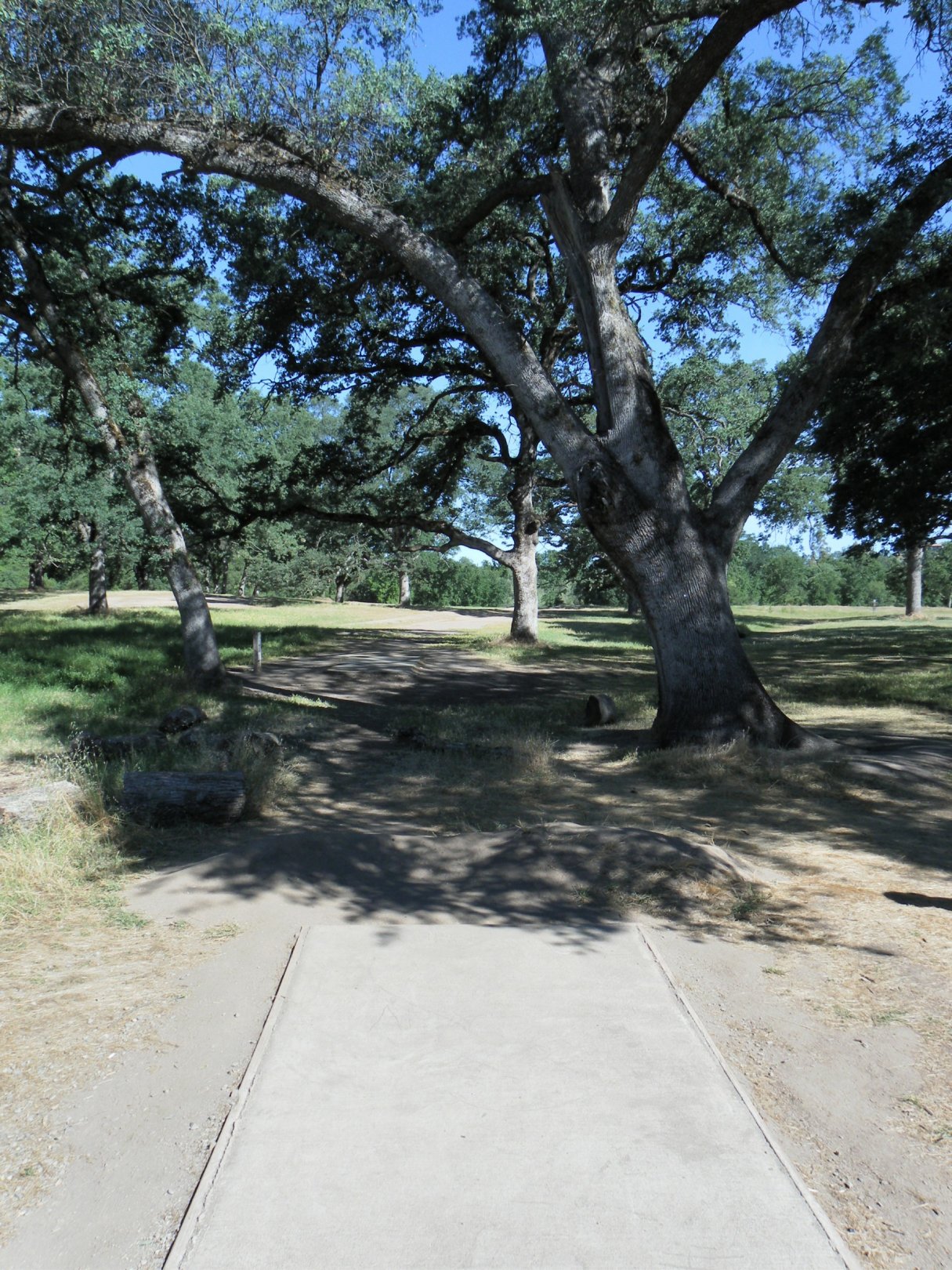 Hole 6 • Rocklin Disc Golf Course (Rocklin, CA) Disc Golf Courses
