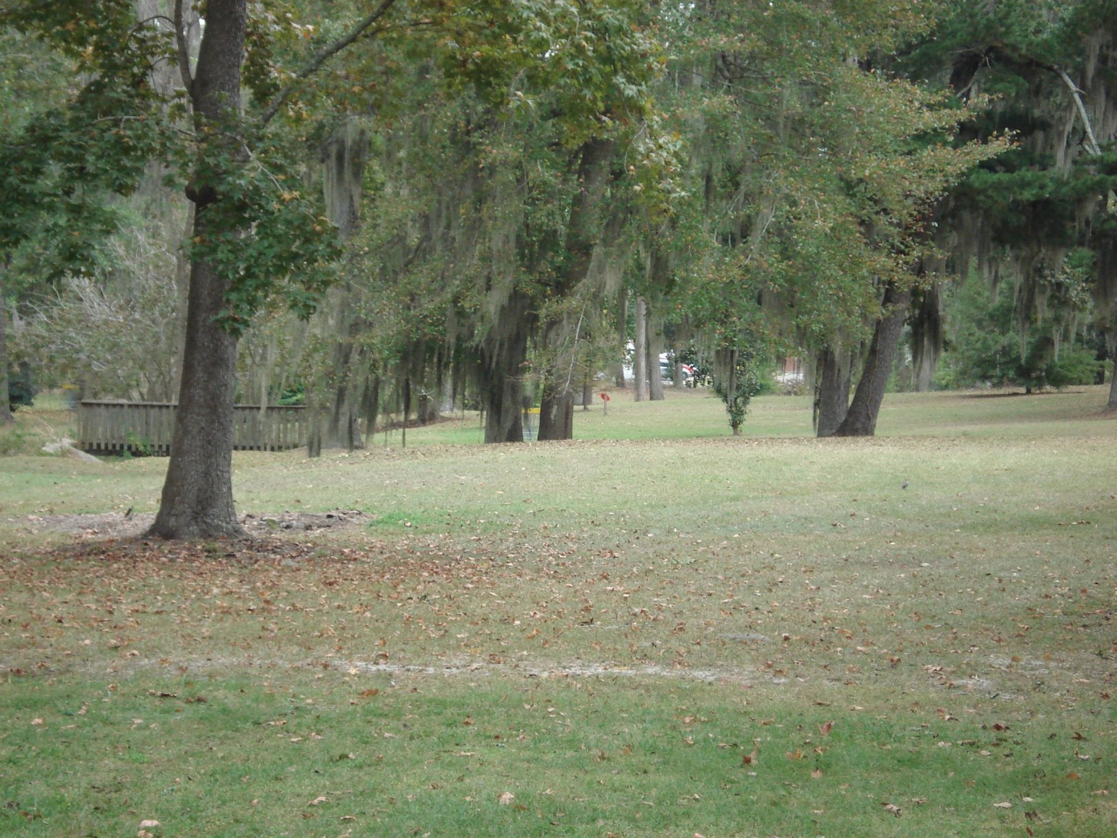 Hole 4 • MacIntyre Park (Thomasville, GA) Disc Golf Courses Disc