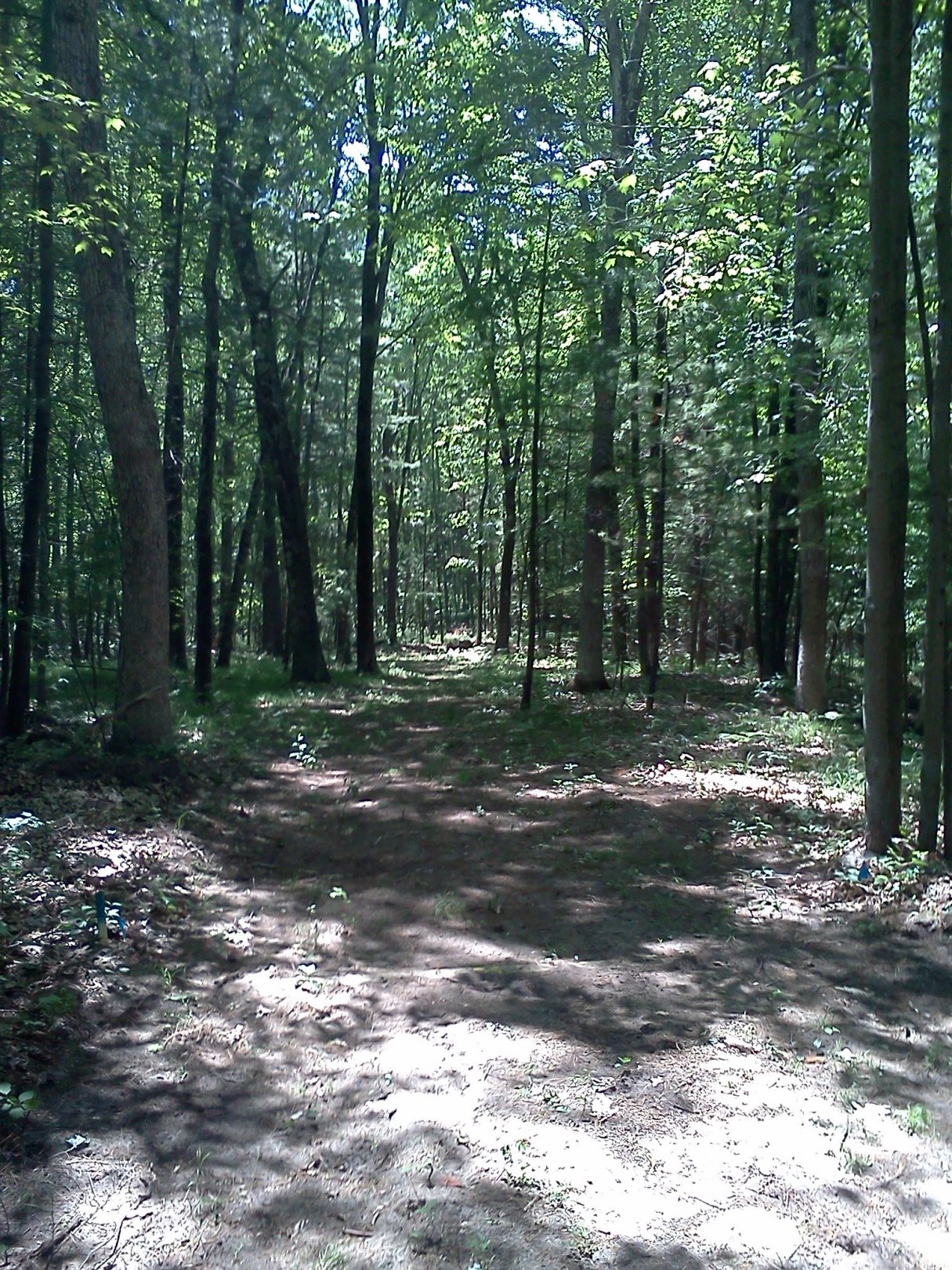 Hole 14 • Big Bend Park (Newaygo, MI) Disc Golf Courses Disc Golf Scene