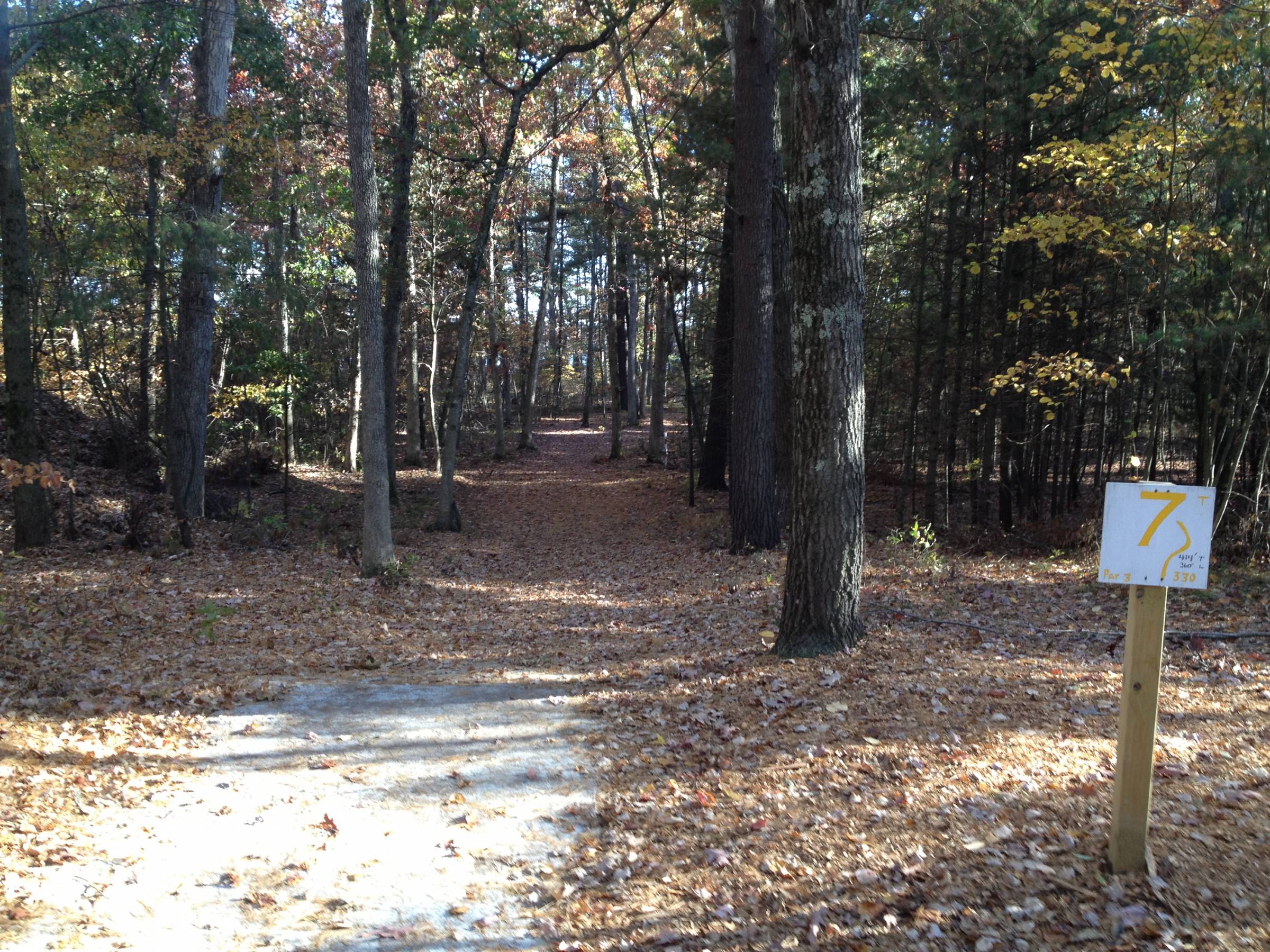 Hole 7 • Big Bend Park (Newaygo, MI) Disc Golf Courses Disc Golf Scene