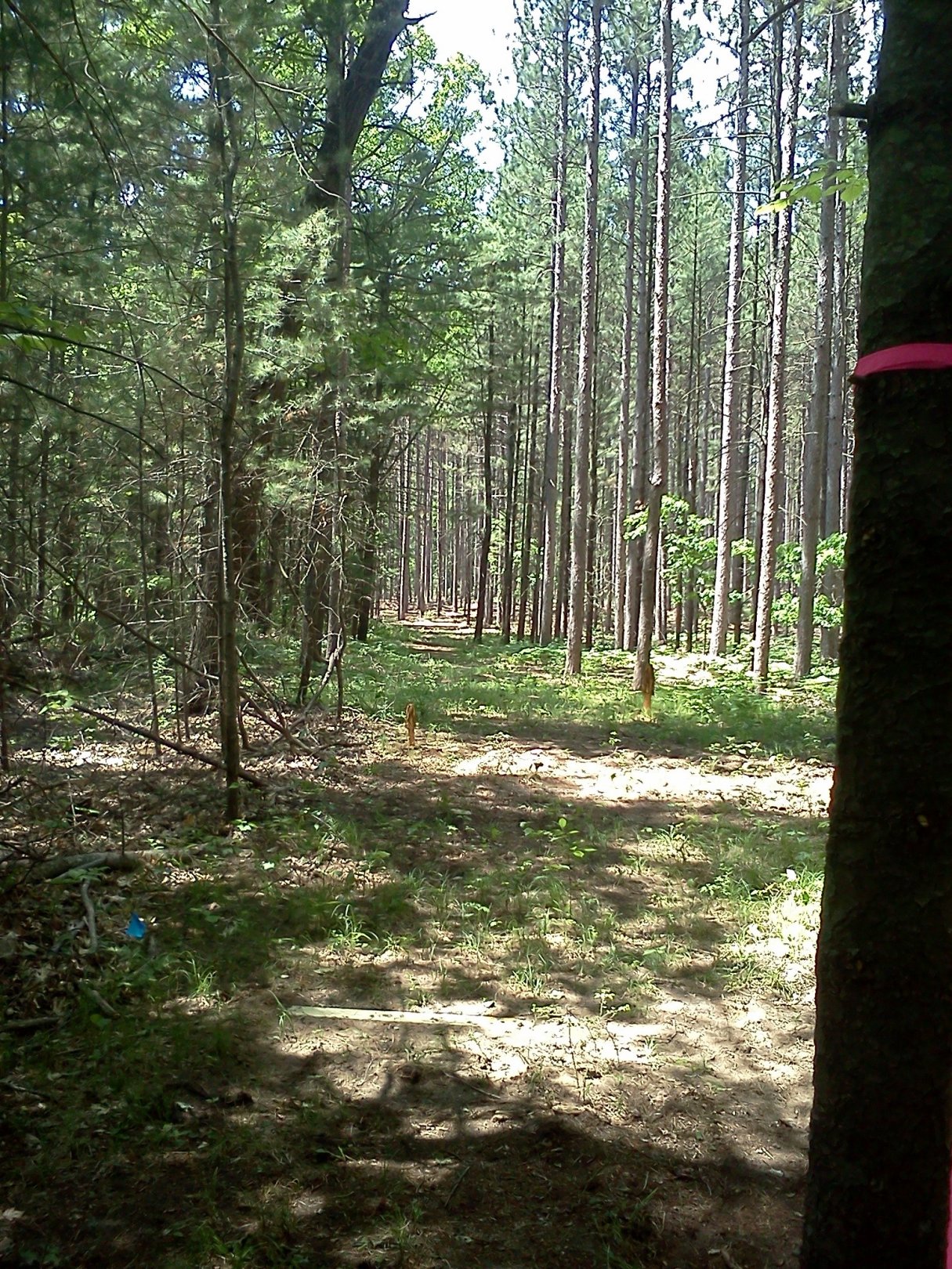 Hole 13 • Big Bend Park (Newaygo, MI) Disc Golf Courses Disc Golf Scene