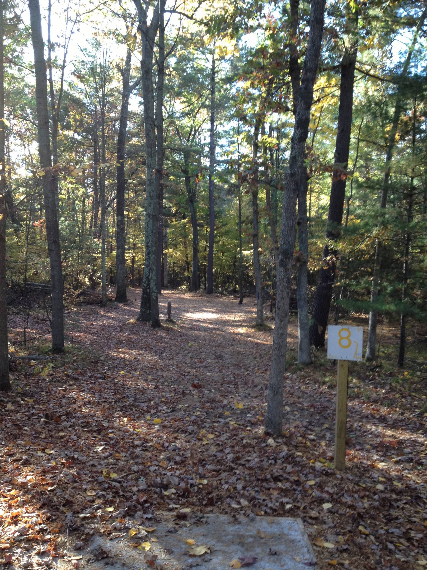 Hole 8 • Big Bend Park (Newaygo, MI) Disc Golf Courses Disc Golf Scene