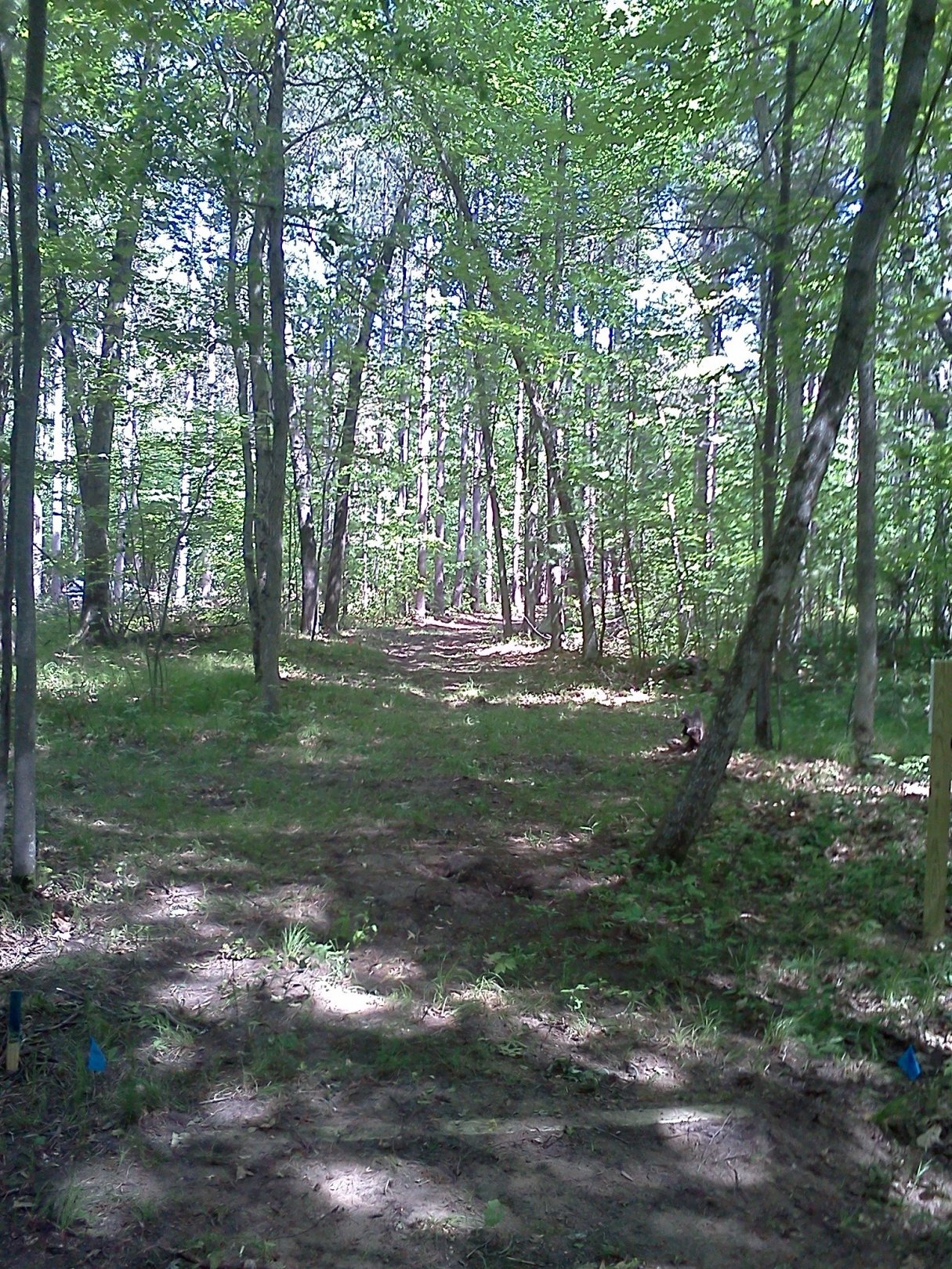 Hole 1 • Big Bend Park (Newaygo, MI) Disc Golf Courses Disc Golf Scene