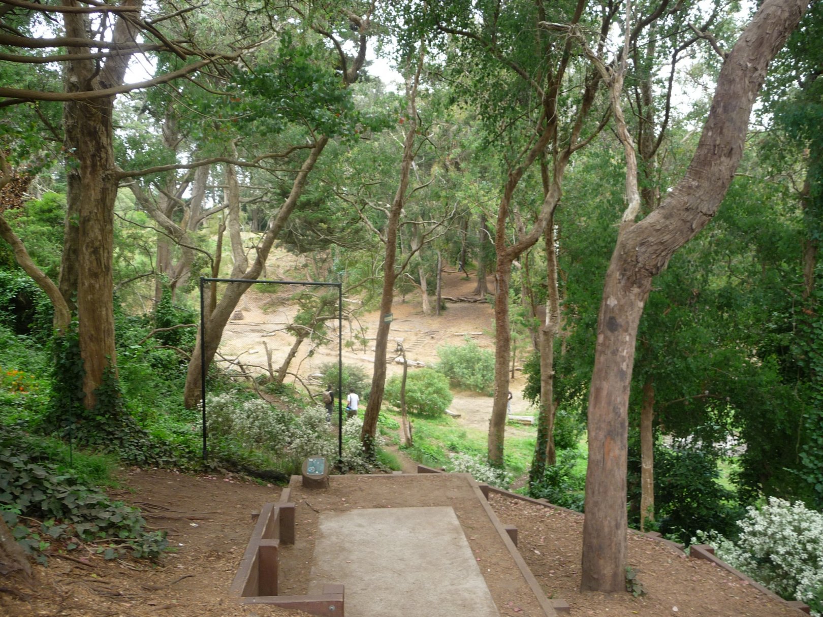Hole 11 • Golden Gate Park (San Francisco, CA) Disc Golf Courses